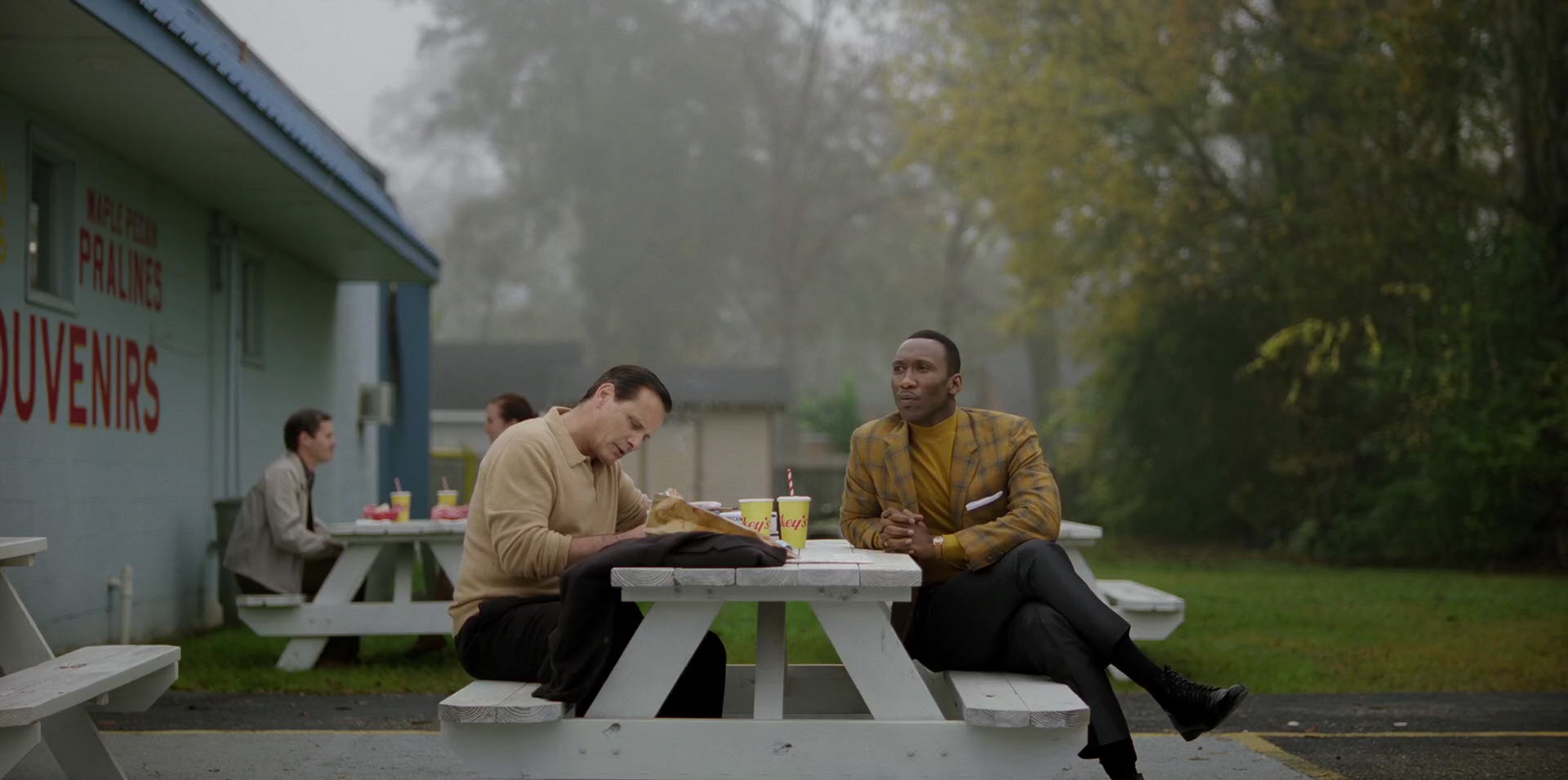 Green Book (2018) HD screenshot 8237