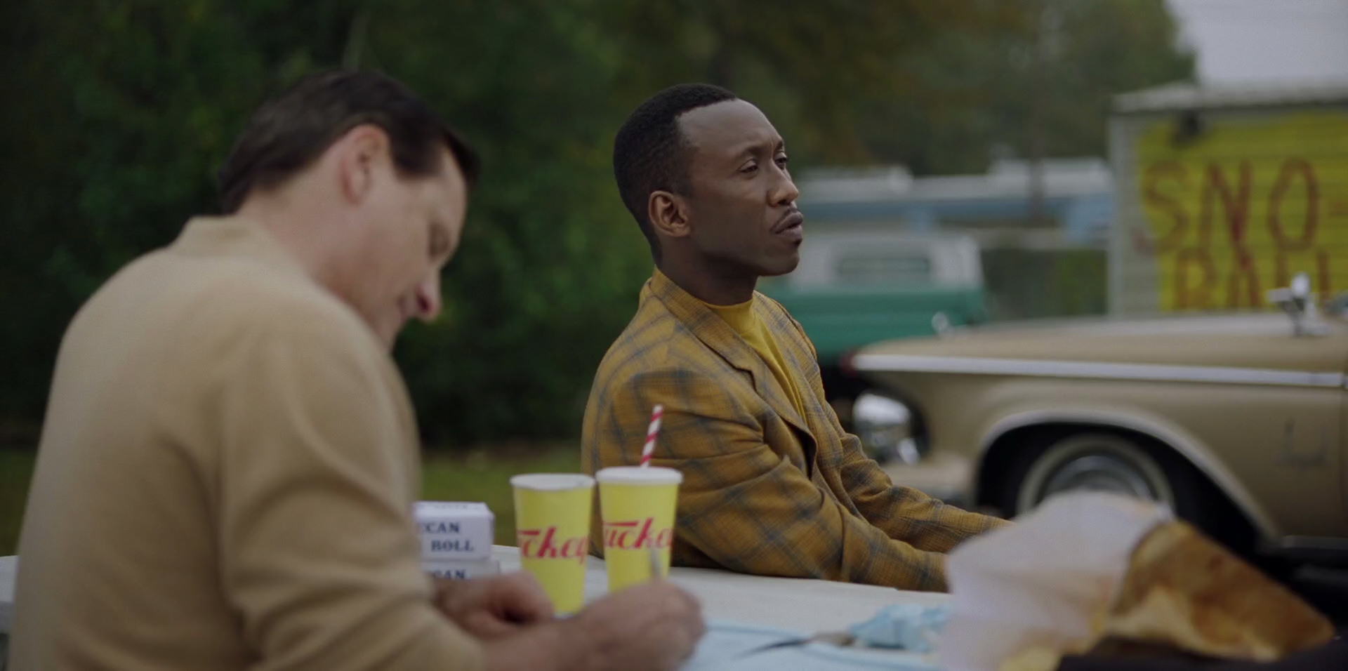 Green Book (2018) movie still 8239