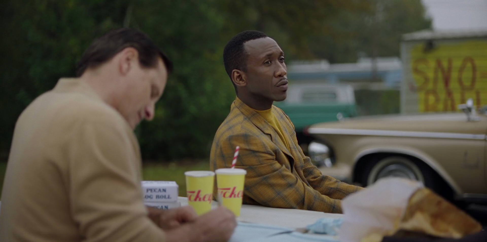 Green Book (2018) HD screenshot 8246