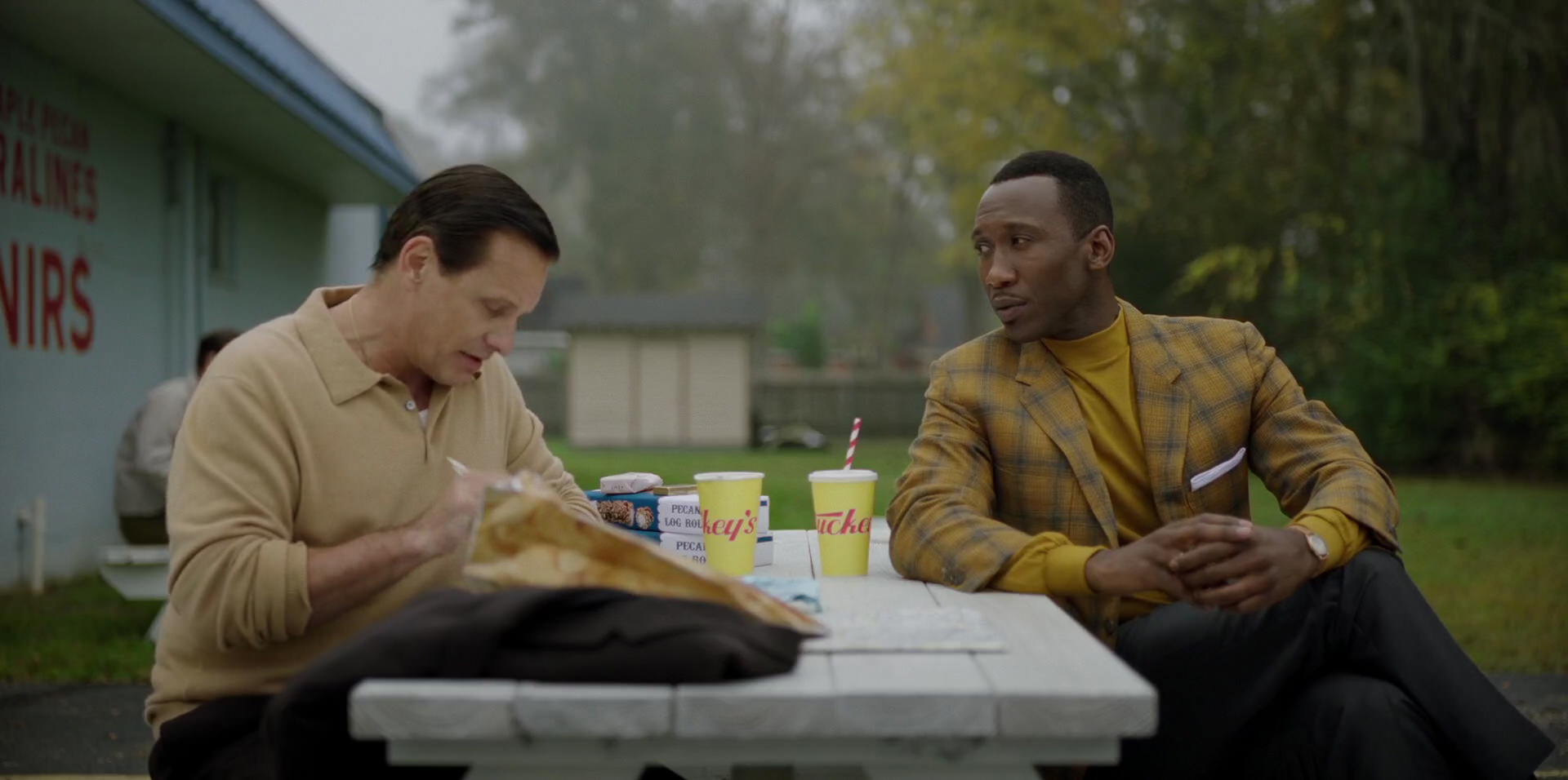 Green Book (2018) HD screenshot 8306