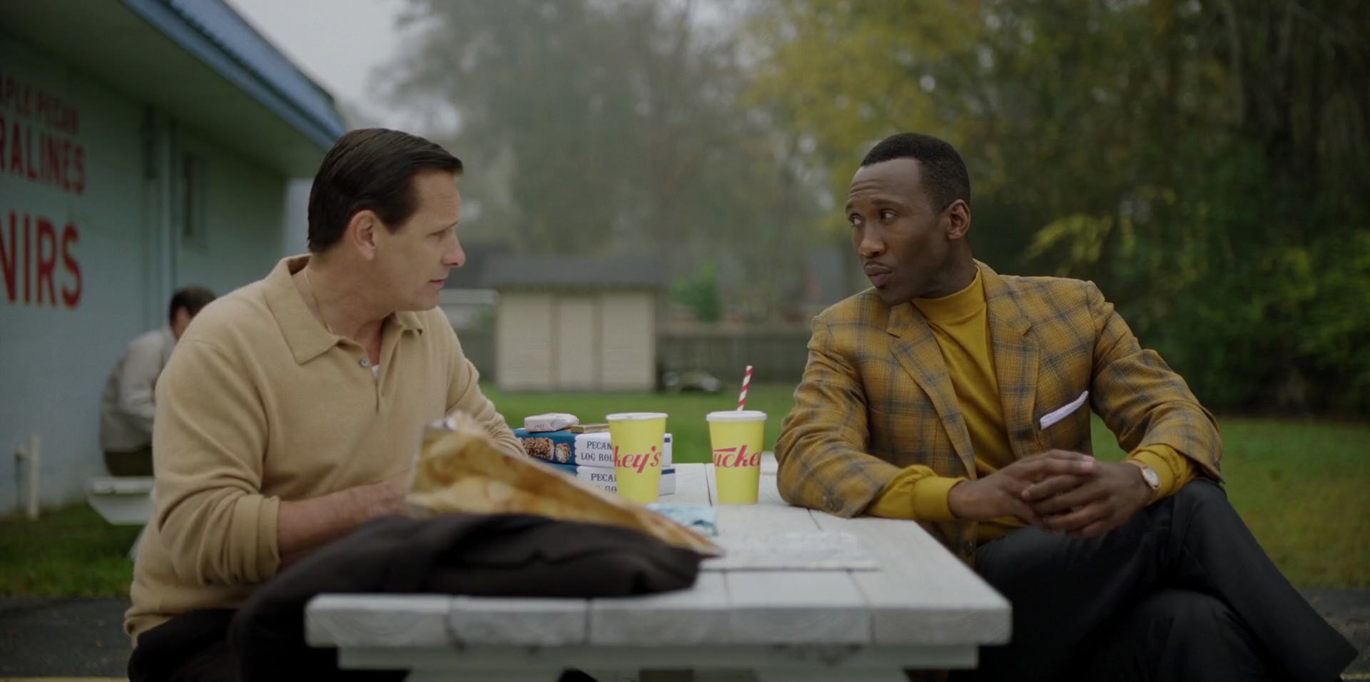 Green Book (2018) movie still 8311