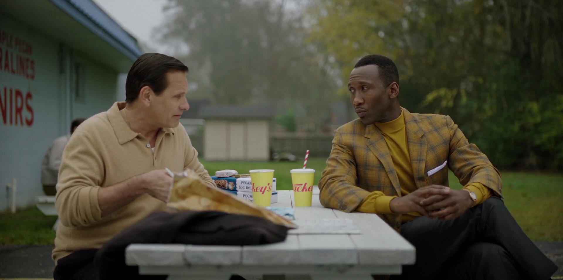 Green Book (2018) screencap 8313