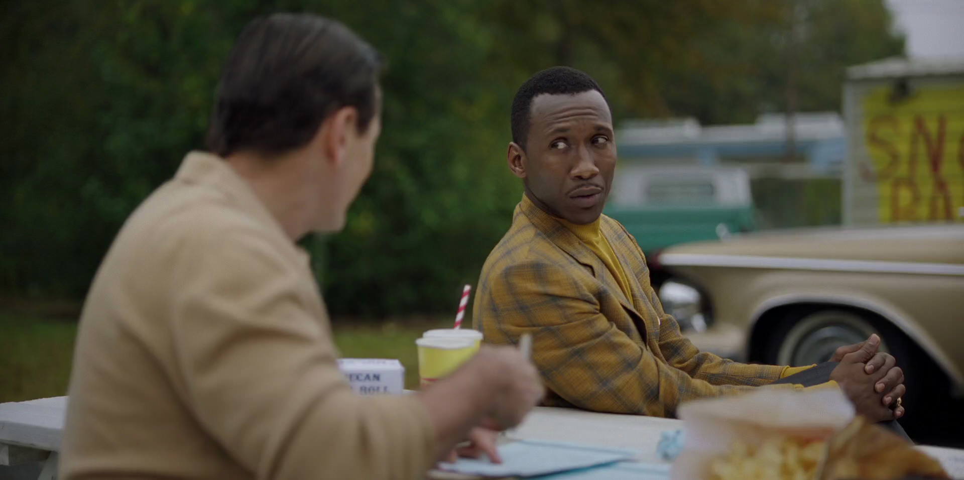 Green Book (2018) movie still 8314