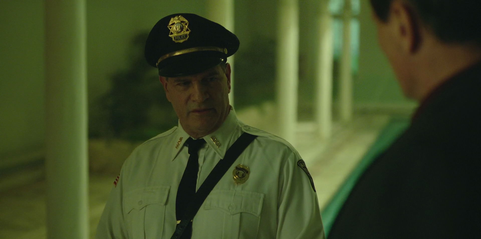 Green Book (2018) movie still 8683
