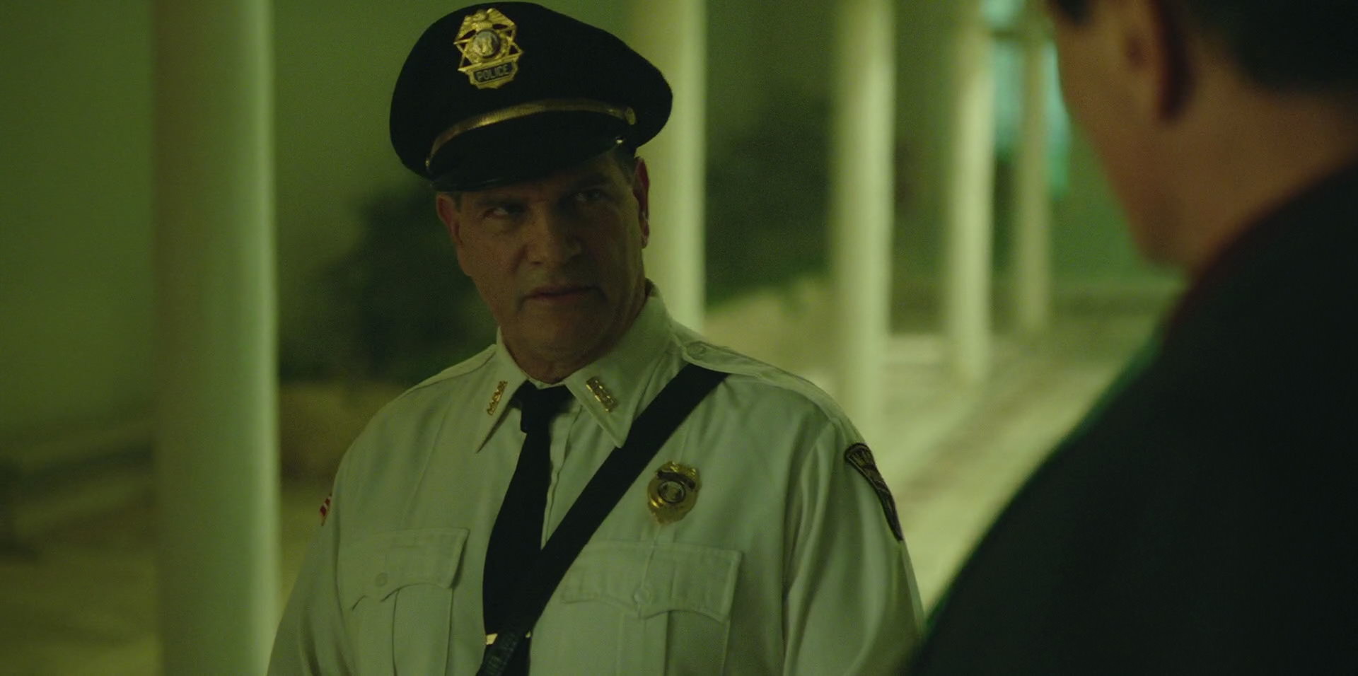 Green Book (2018) HD screenshot 8684