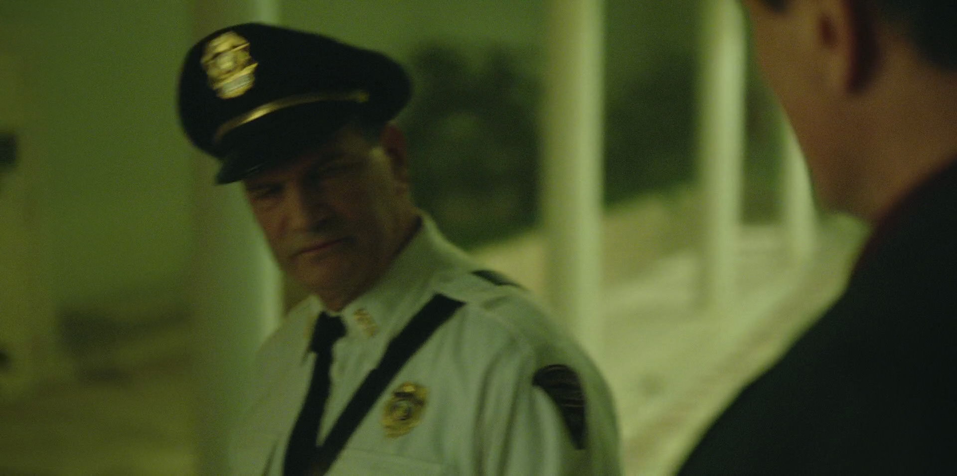 Green Book (2018) movie still 8686