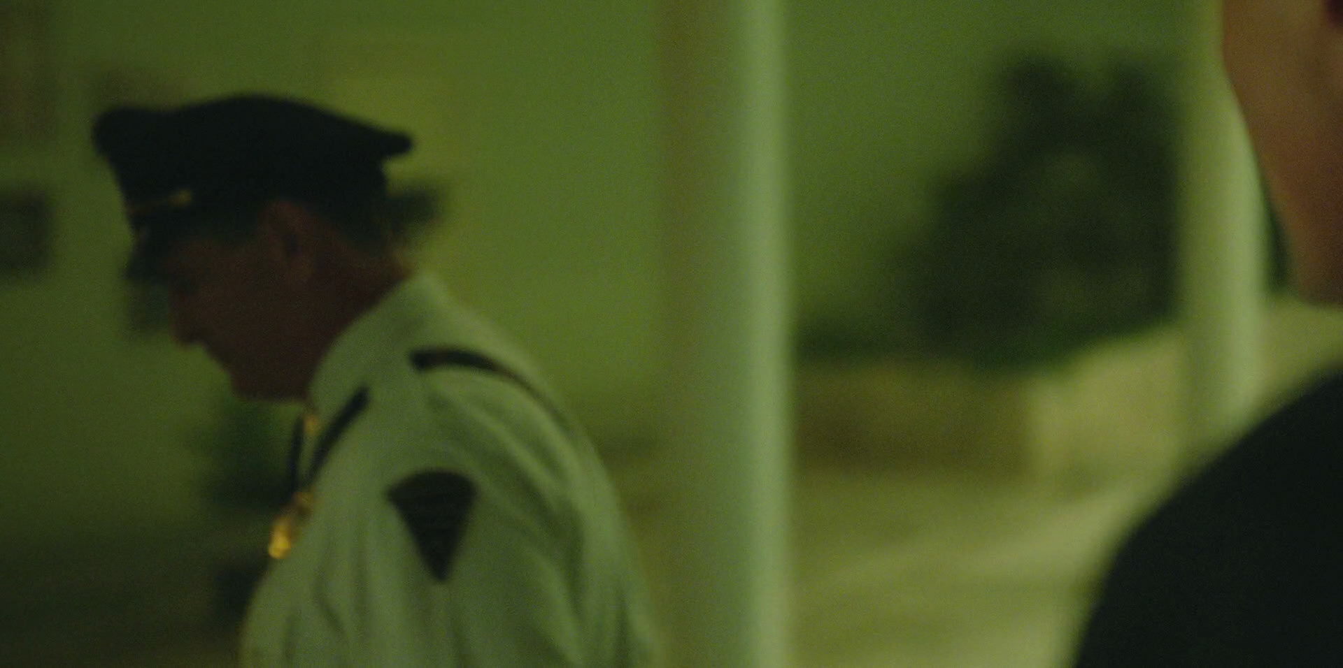 Green Book (2018) HD screenshot 8687