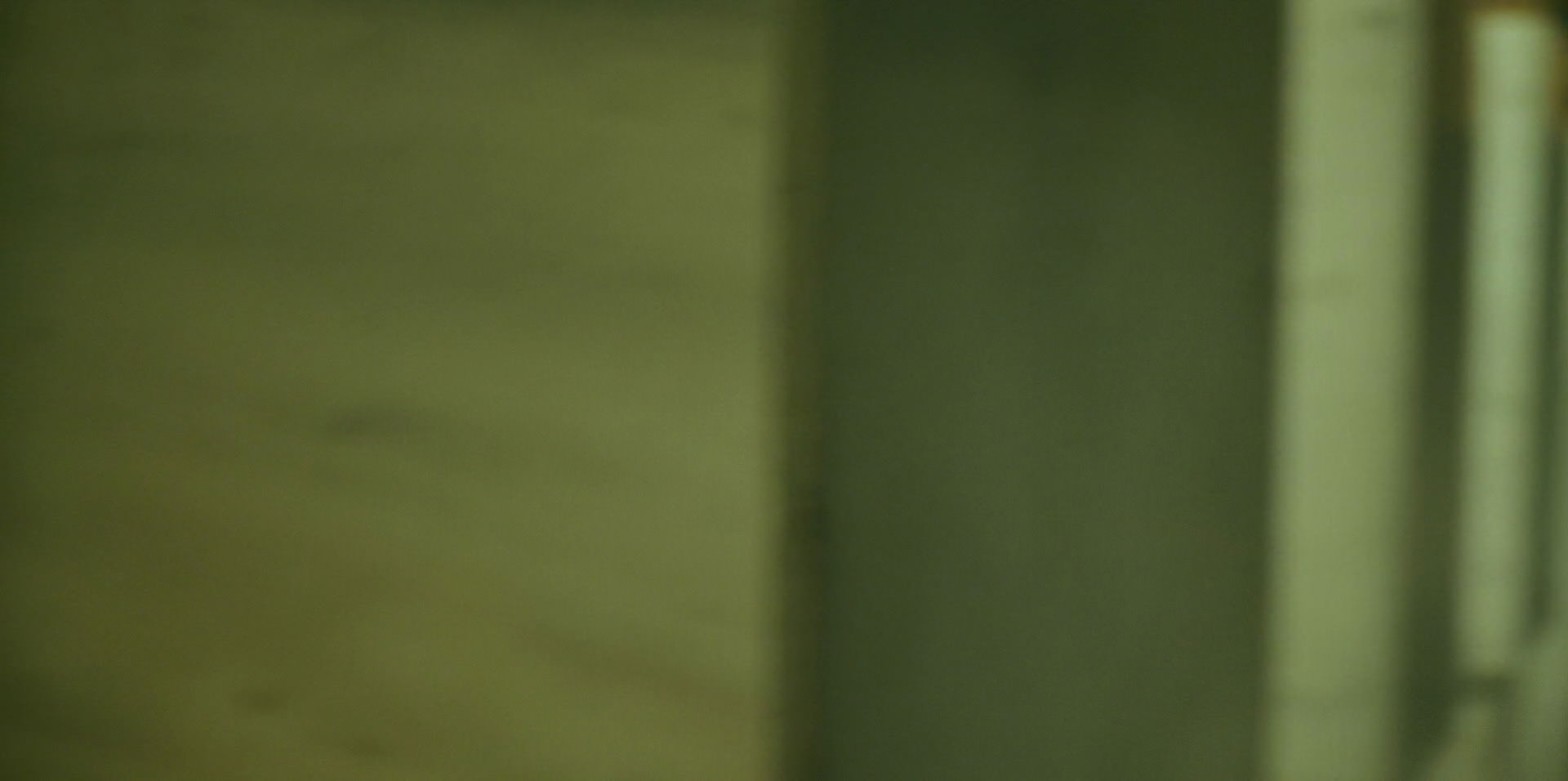 Green Book (2018) HD screenshot 8705
