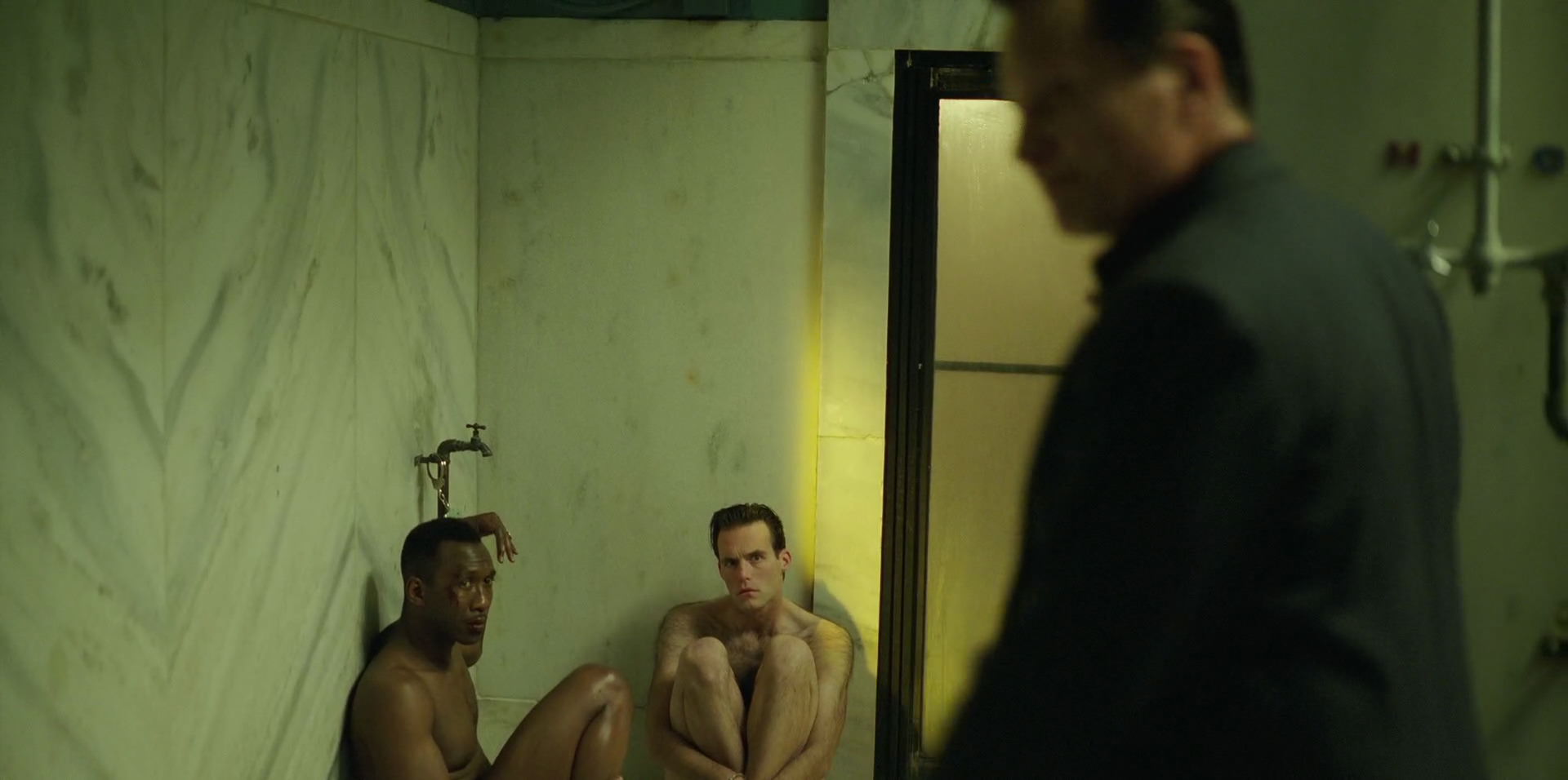 Green Book (2018) HD screenshot 8711