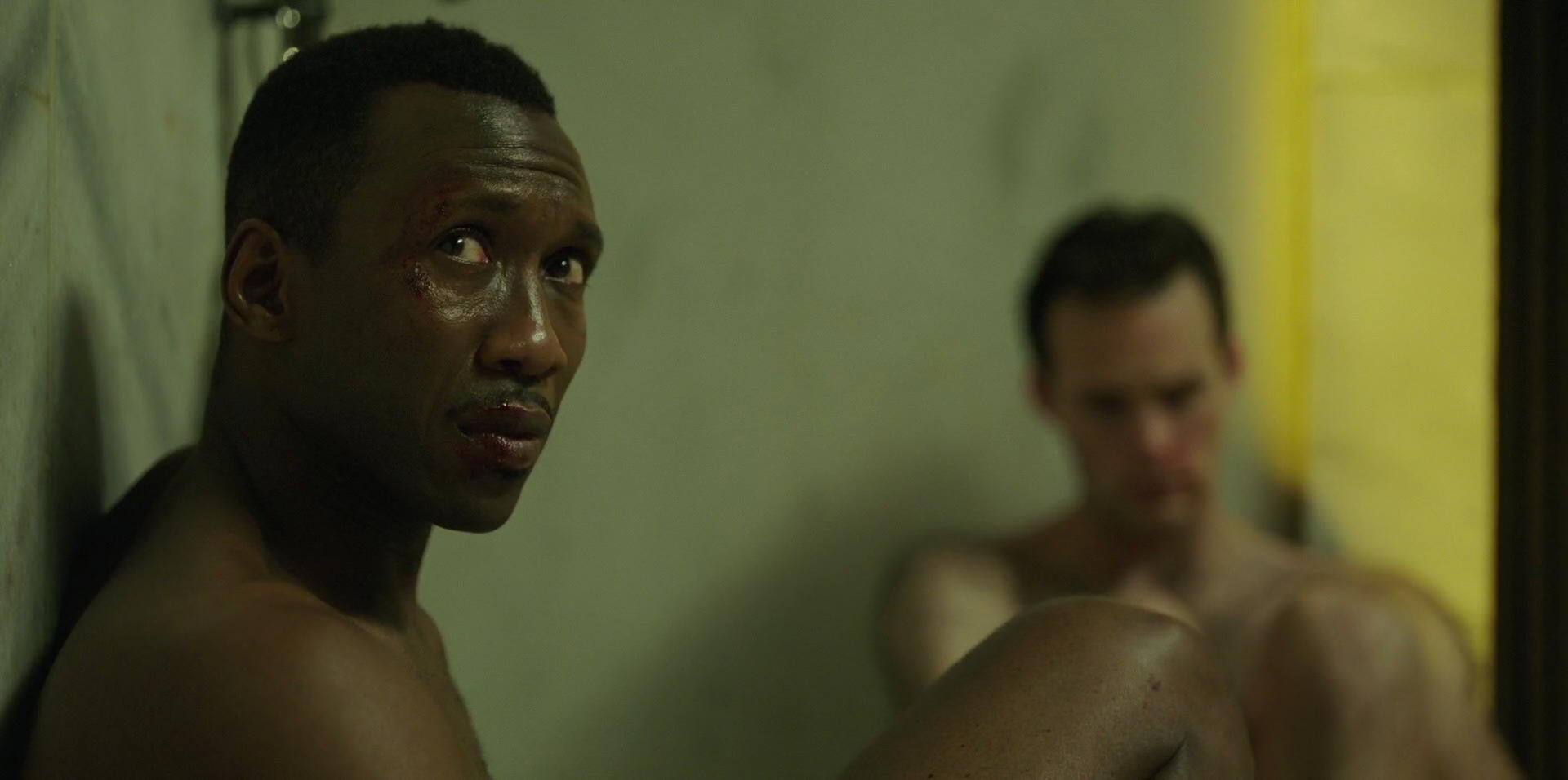 Green Book (2018) movie still 8800