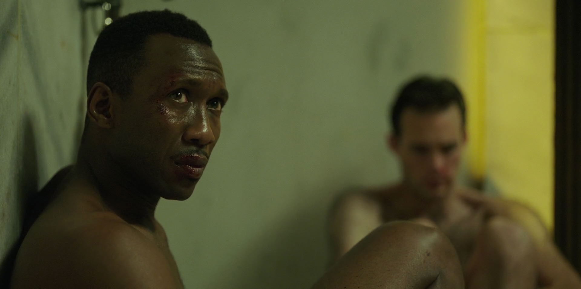 Green Book (2018) movie still 8803