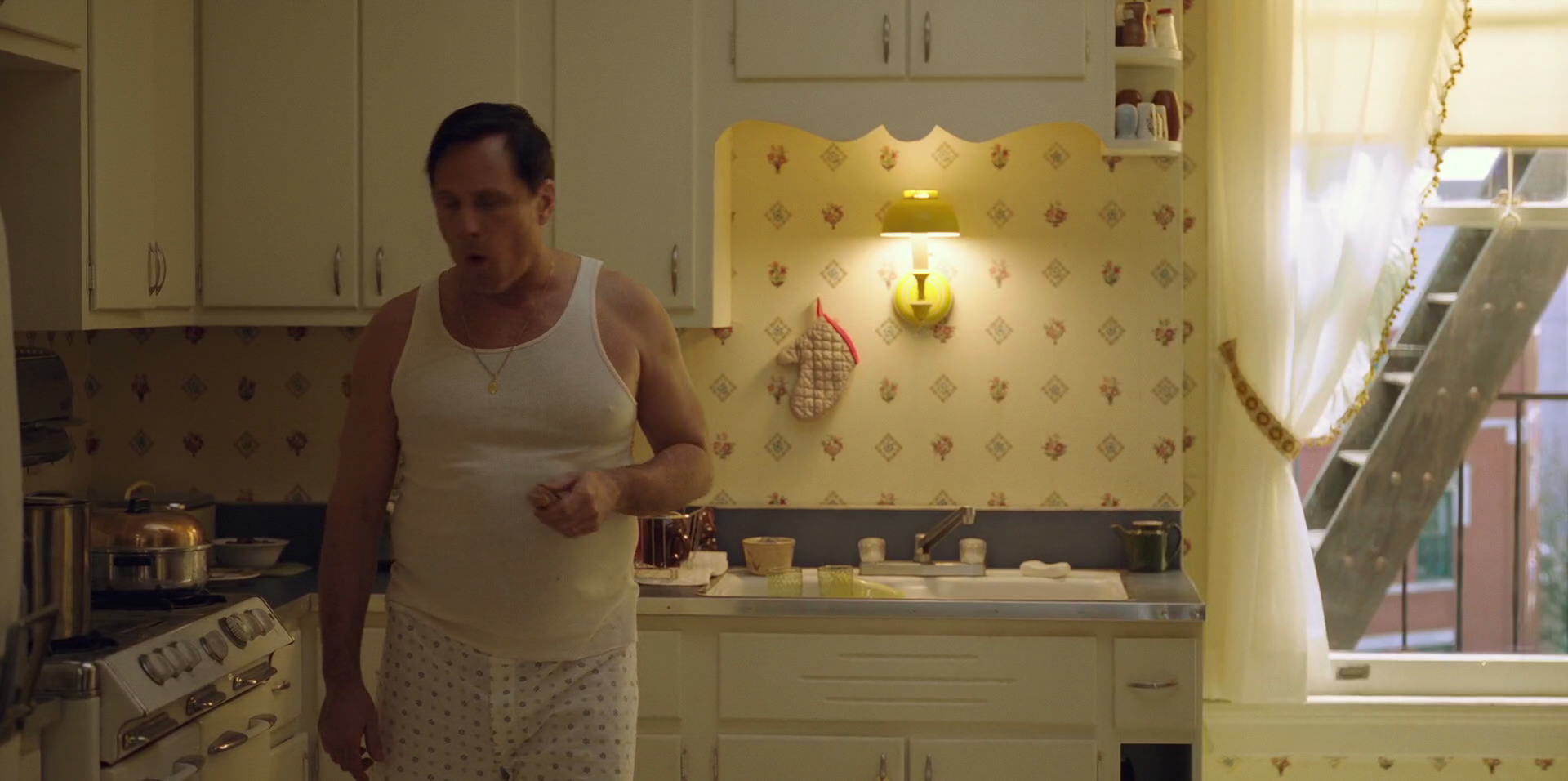 Green Book (2018) movie still 895