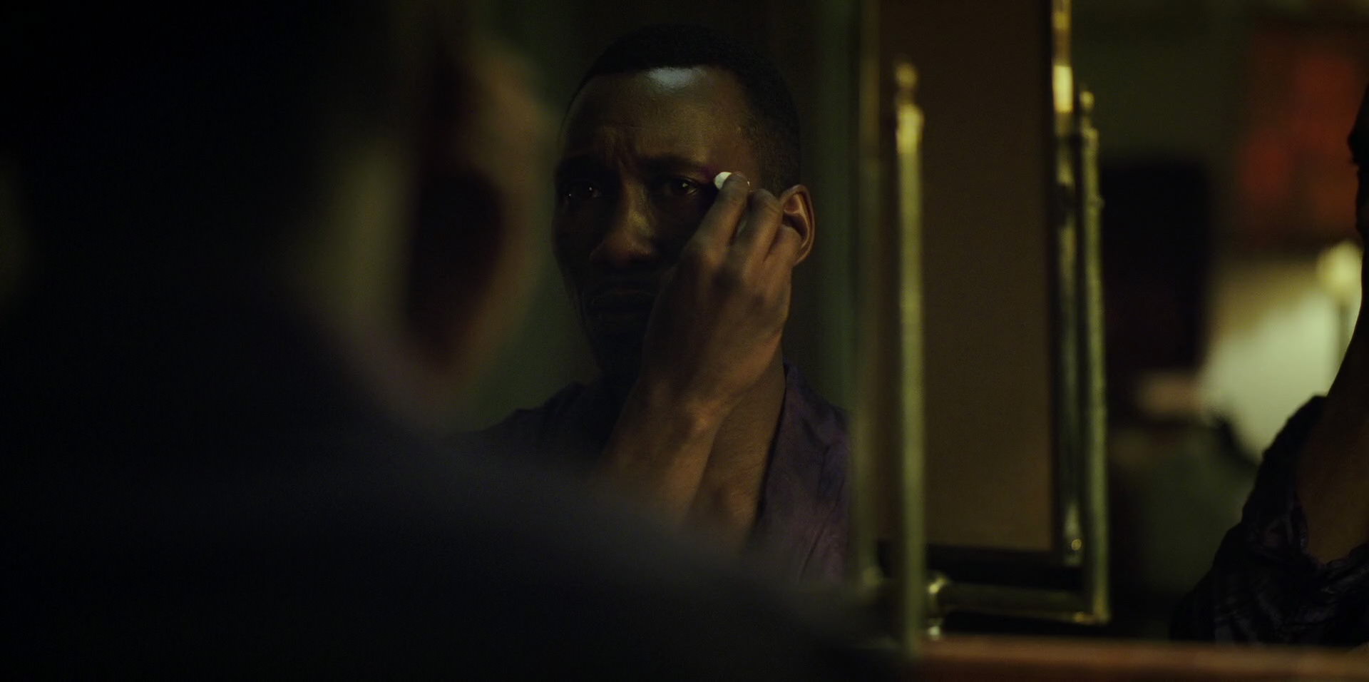 Green Book (2018) HD screenshot 9251