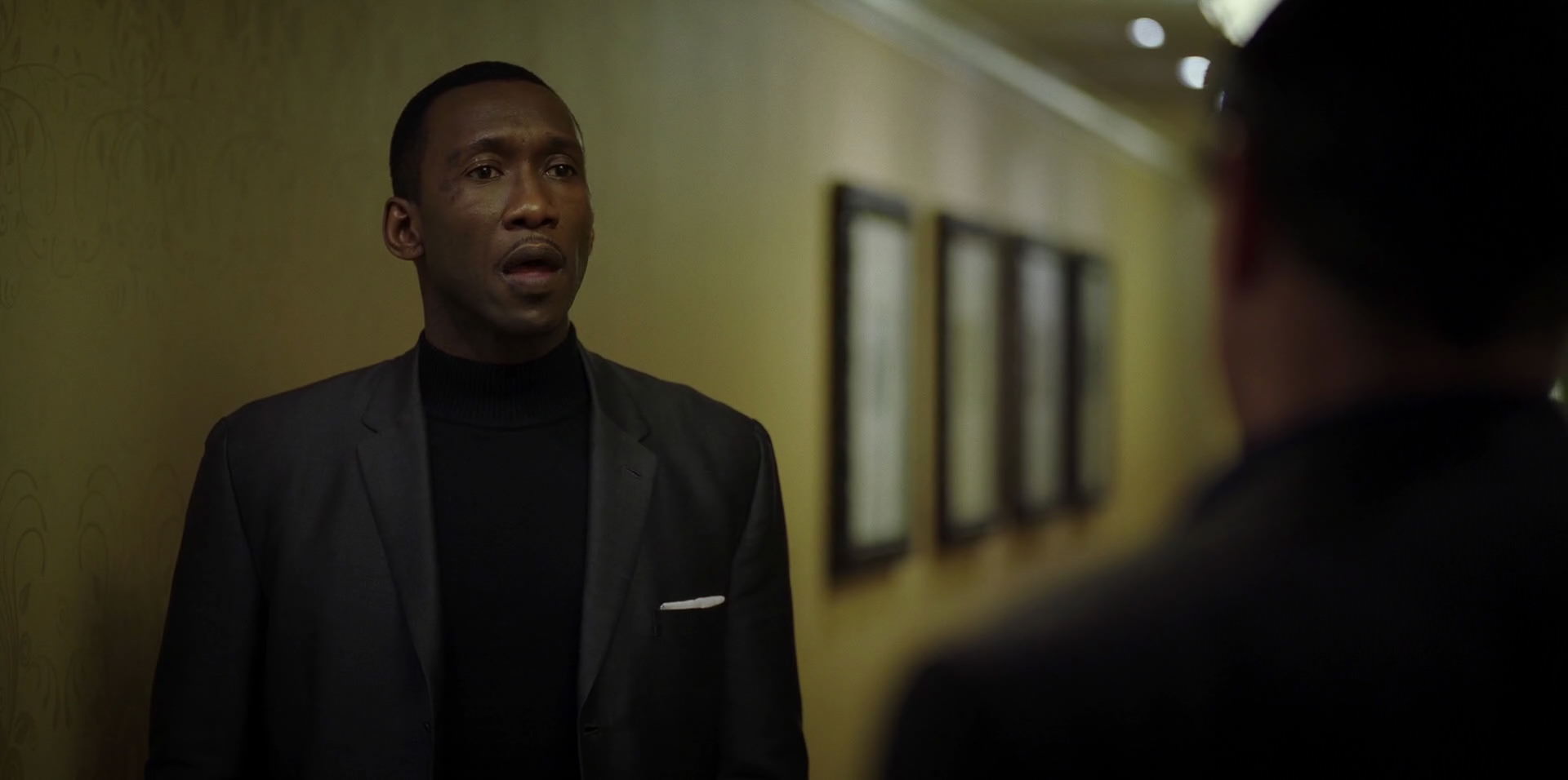 Green Book (2018) movie still 9355