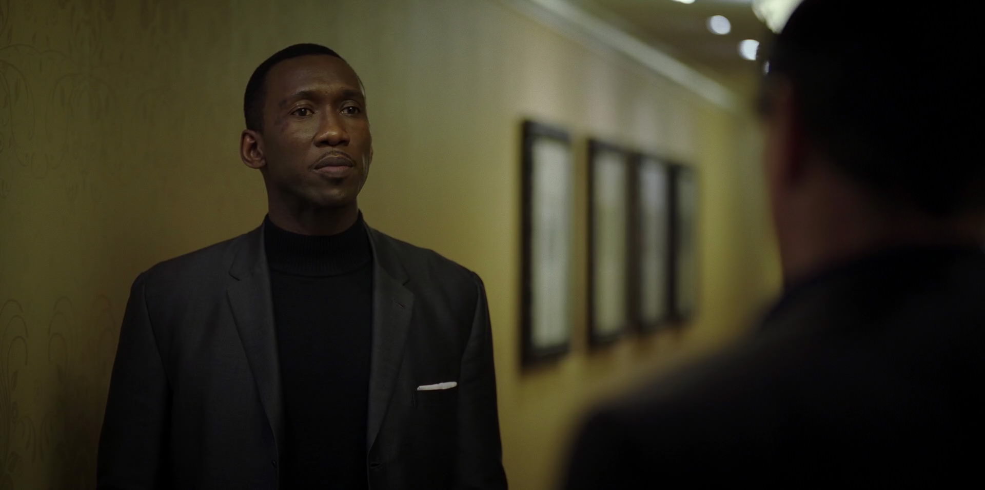 Green Book (2018) HD screenshot 9368