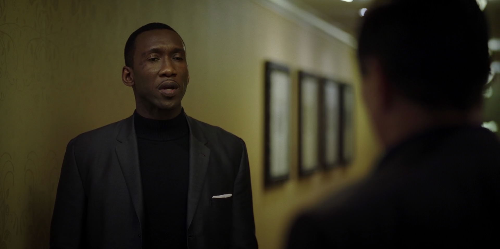 Green Book (2018) HD screenshot 9374