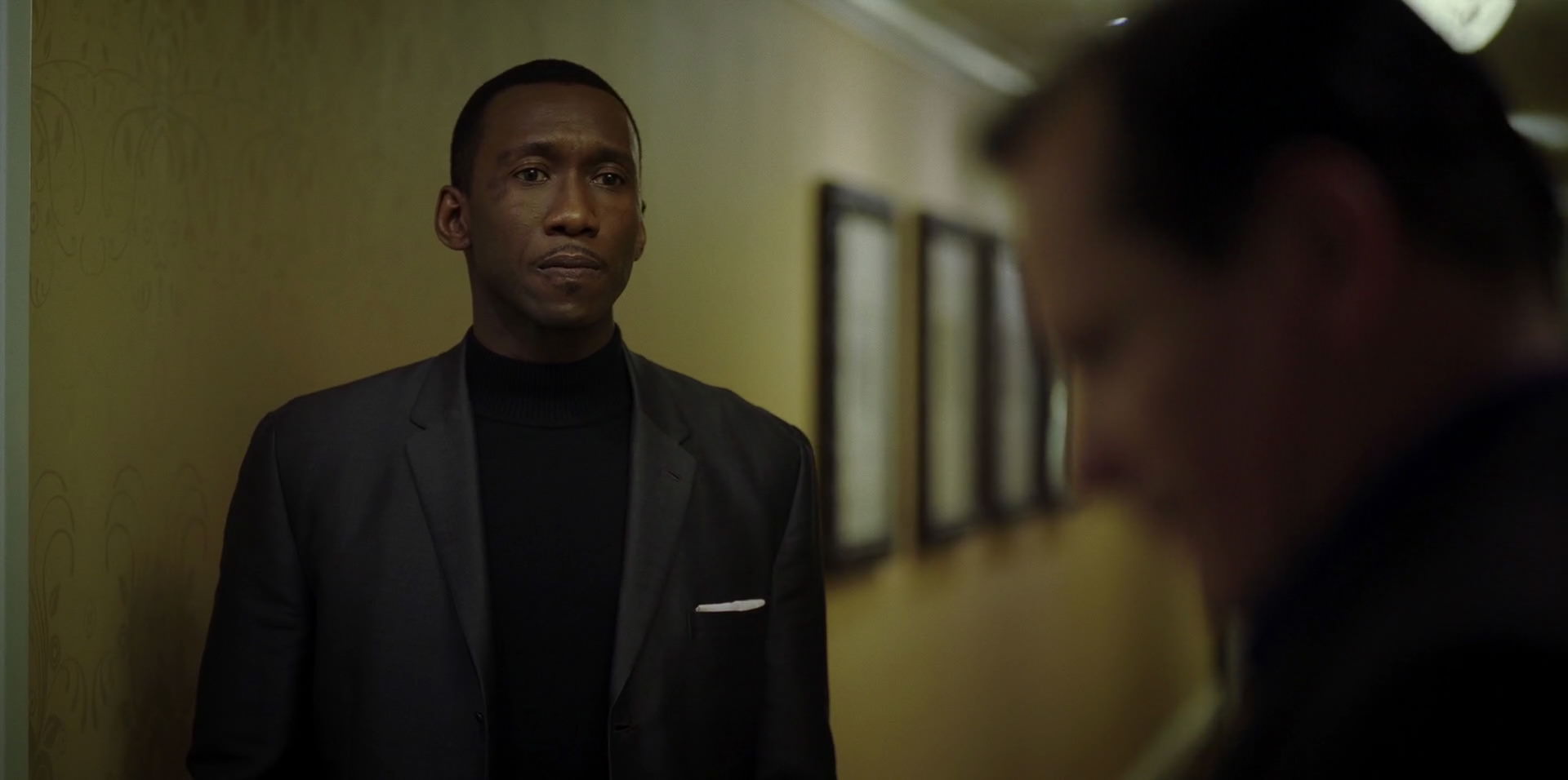 Green Book (2018) HD screenshot 9383