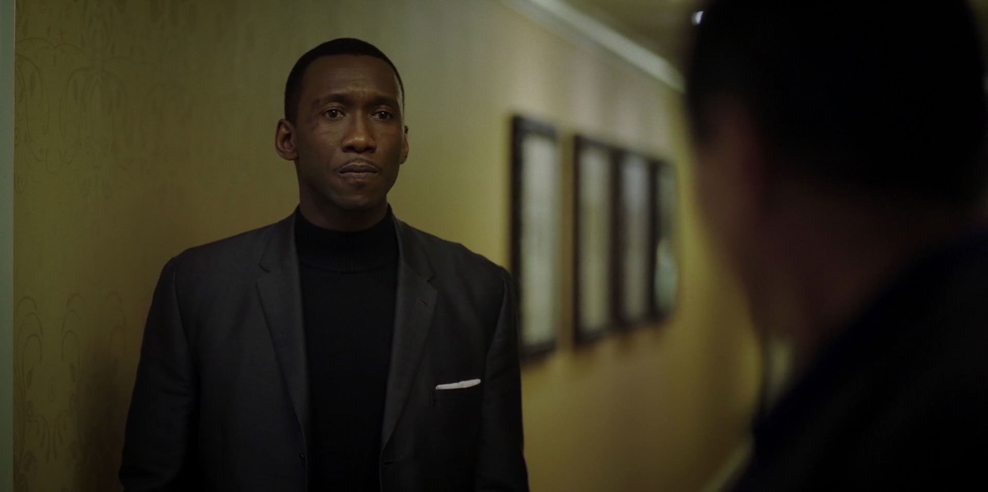 Green Book (2018) movie still 9385
