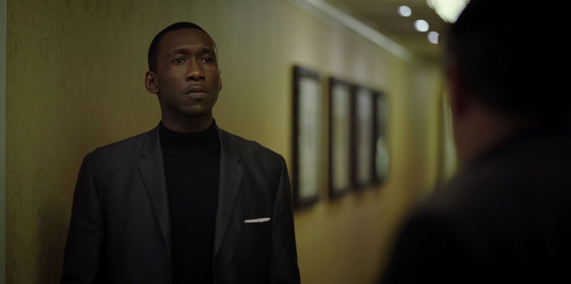 Green Book (2018) HD screenshot 9389