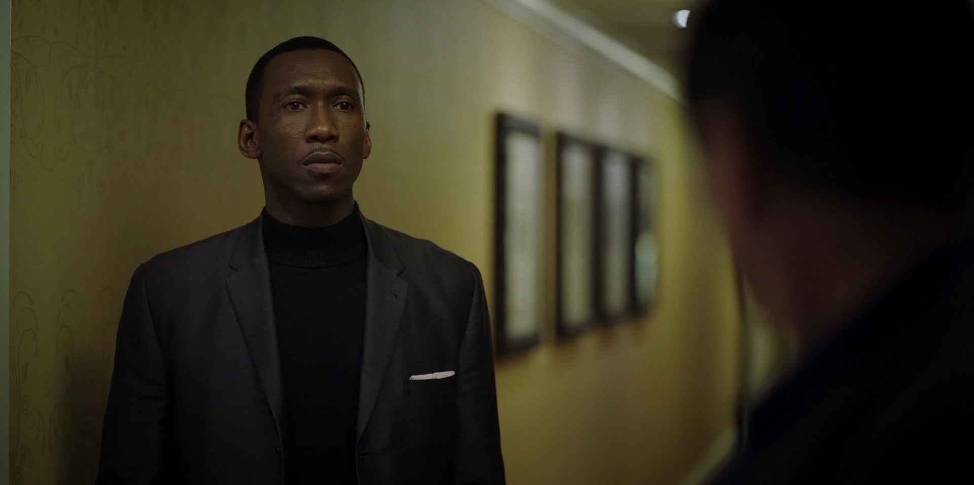 Green Book (2018) HD screenshot 9416
