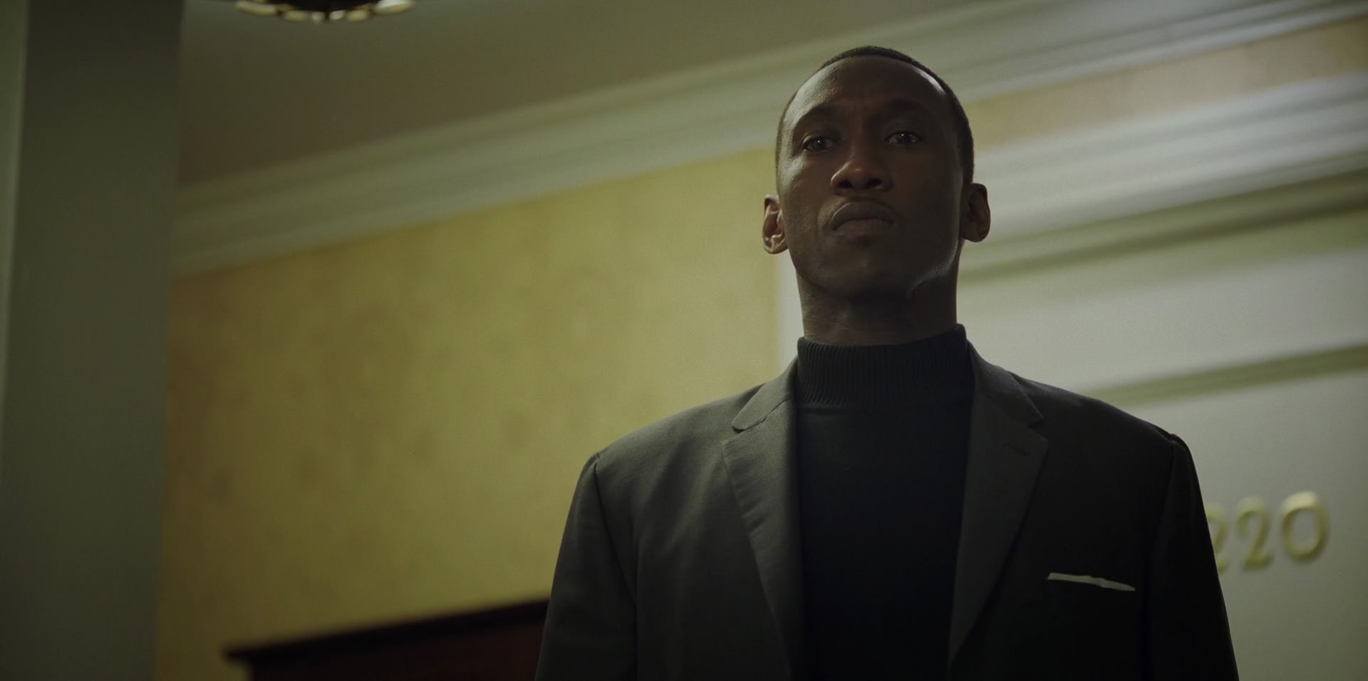 Green Book (2018) HD screenshot 9443