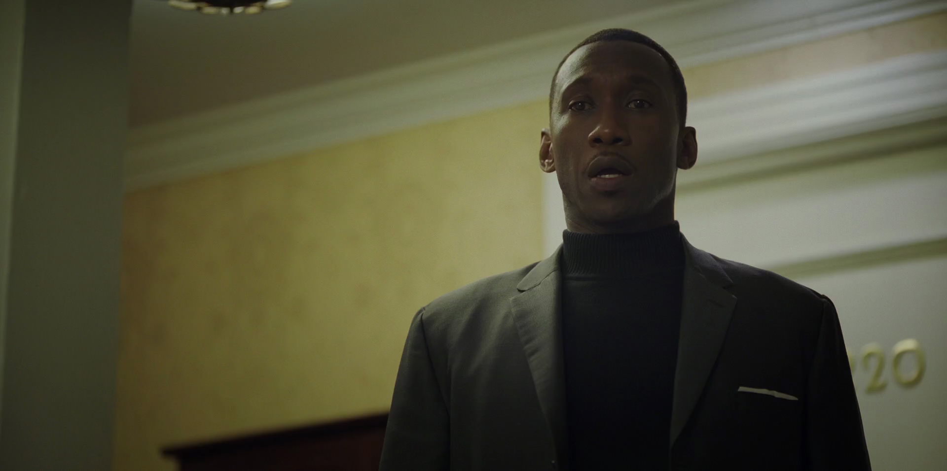 Green Book (2018) HD screenshot 9446