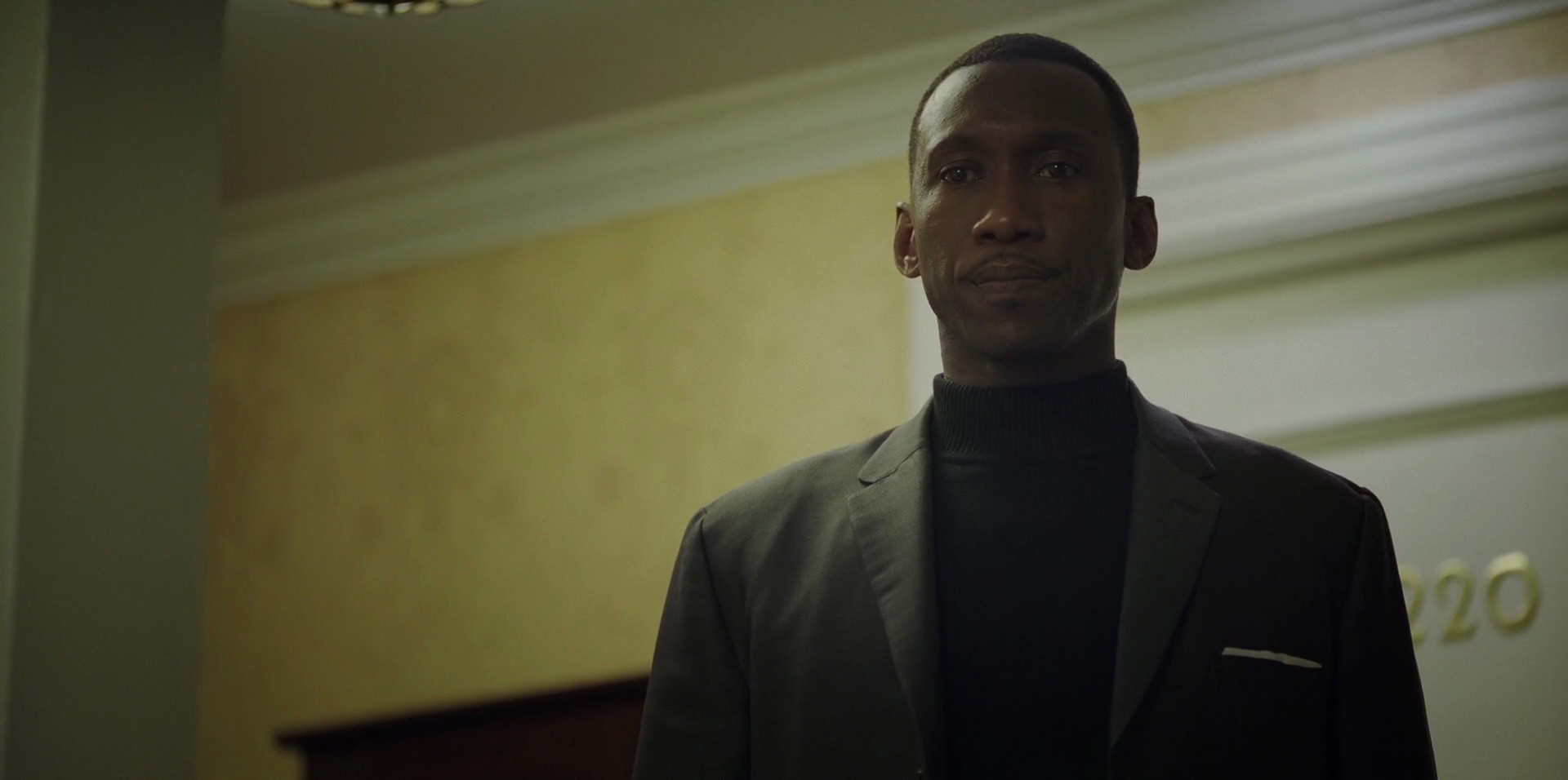Green Book (2018) movie still 9451