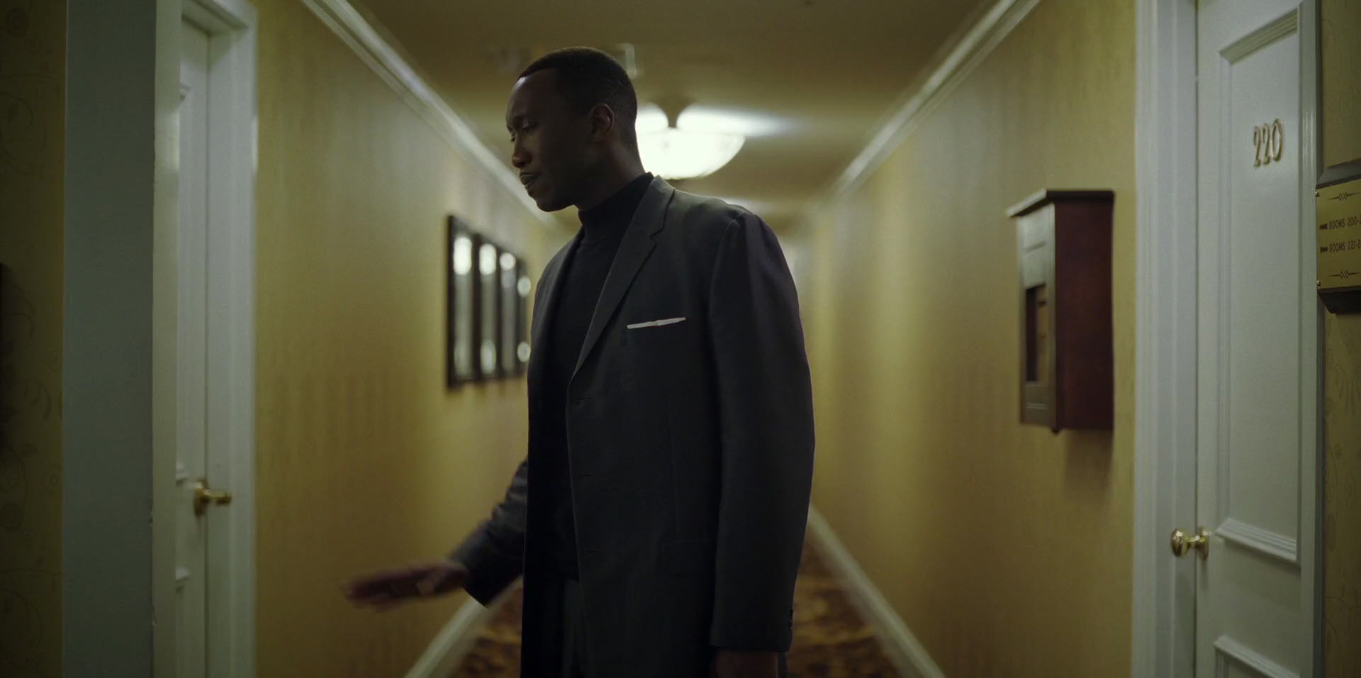 Green Book (2018) HD screenshot 9494