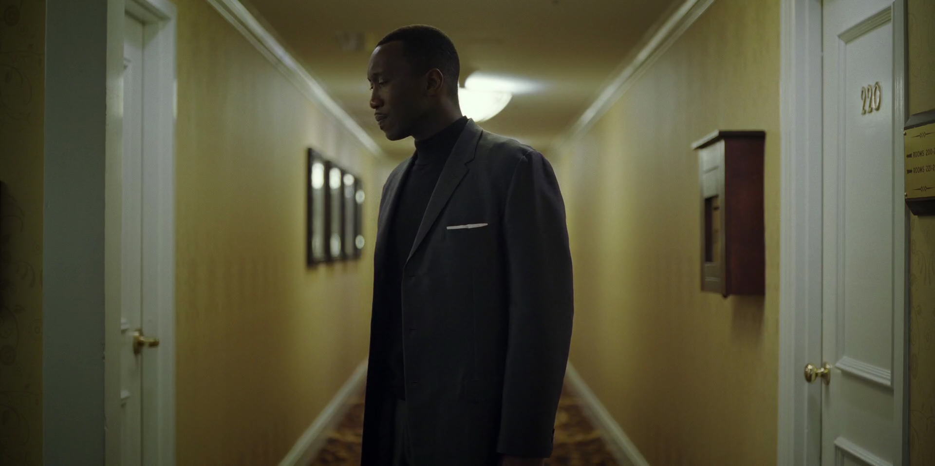 Green Book (2018) movie still 9496
