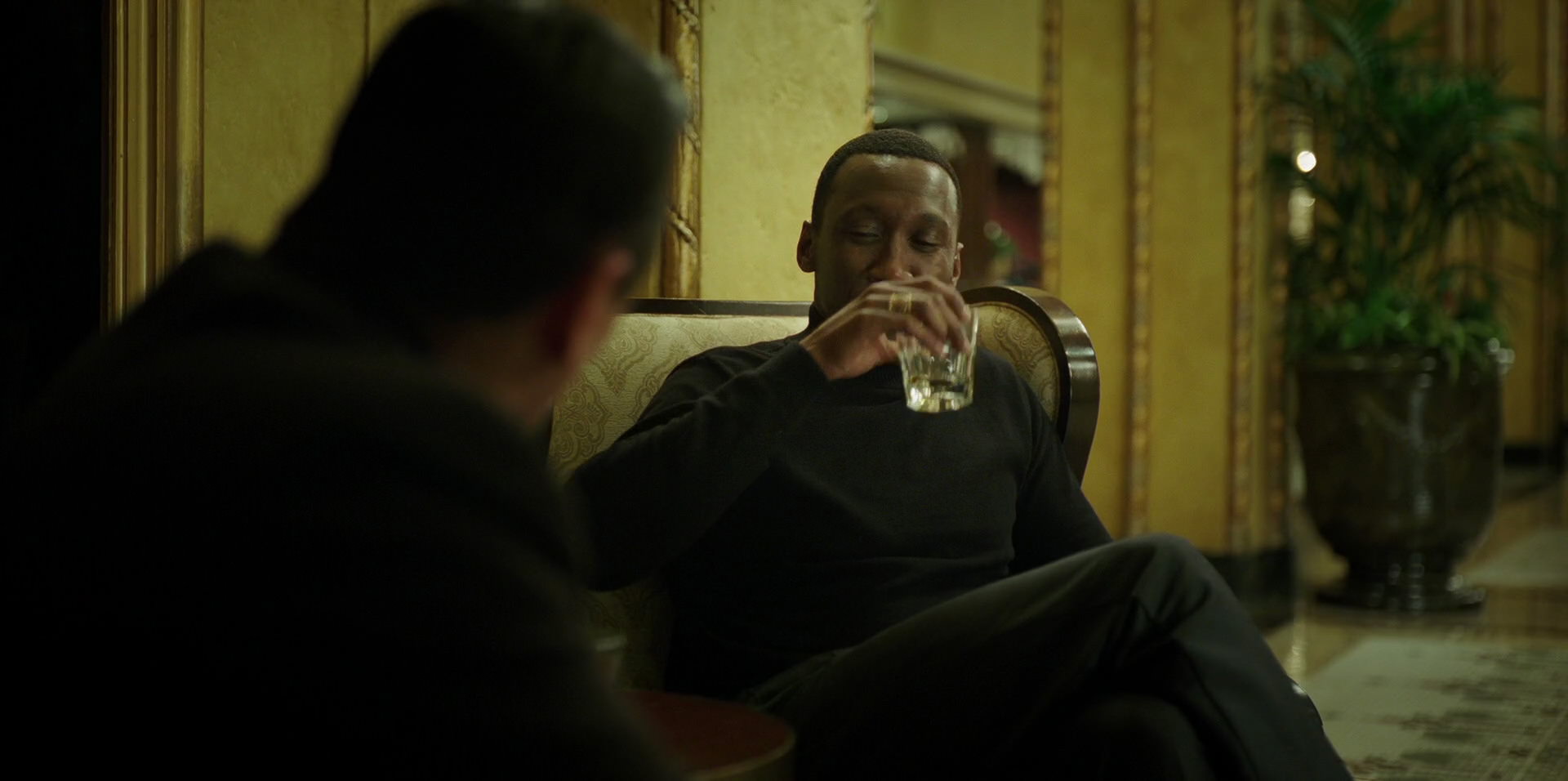 Green Book (2018) HD screenshot 9521