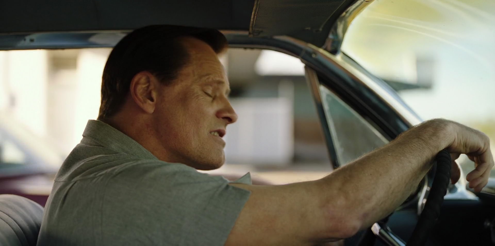 Green Book (2018) movie still 9898