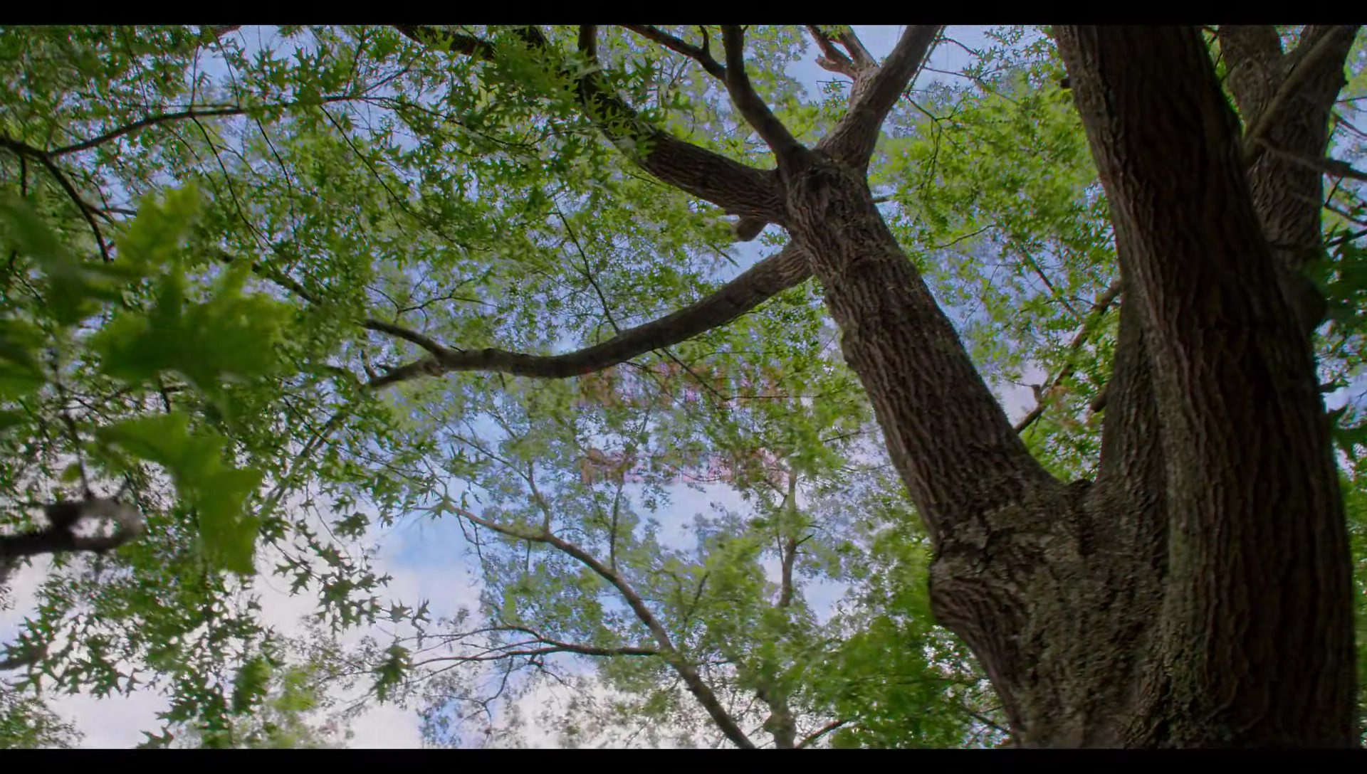Woody Woodpecker Goes to Camp (2024) movie still 1