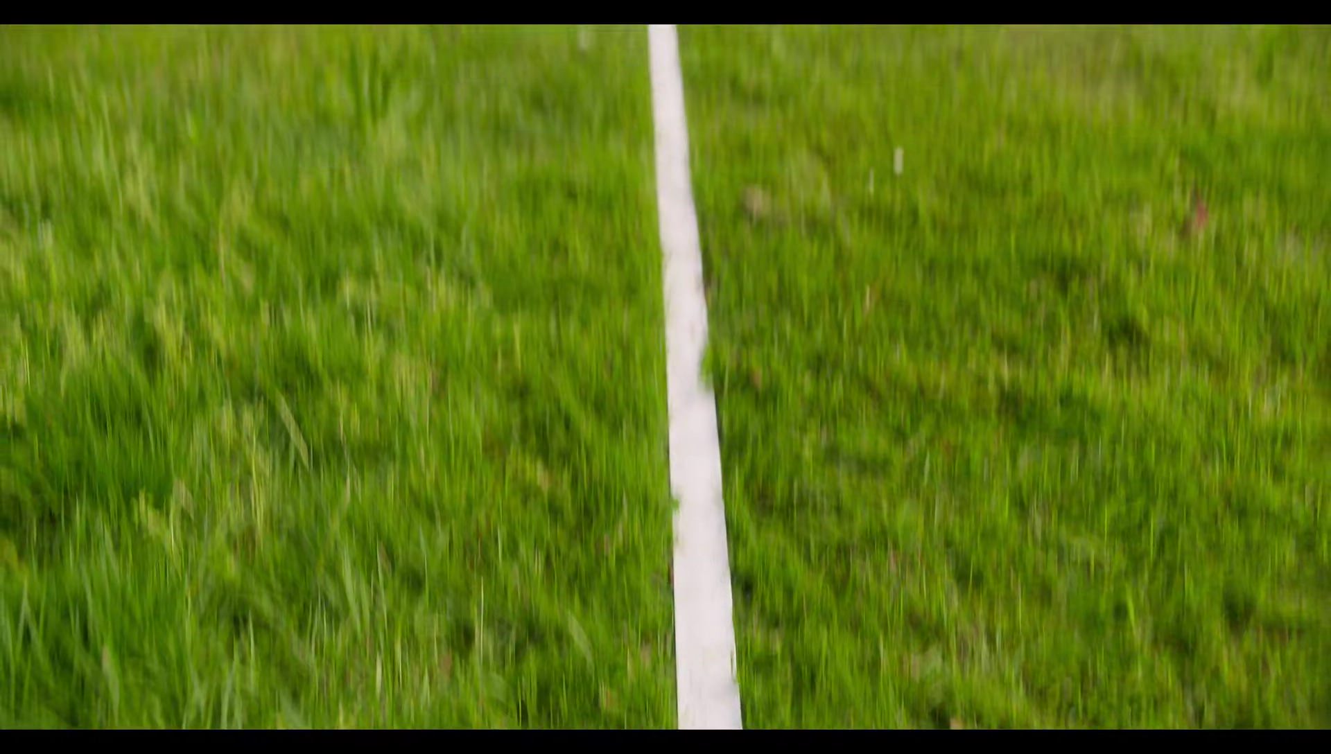 Woody Woodpecker Goes to Camp (2024) HD screenshot 1019