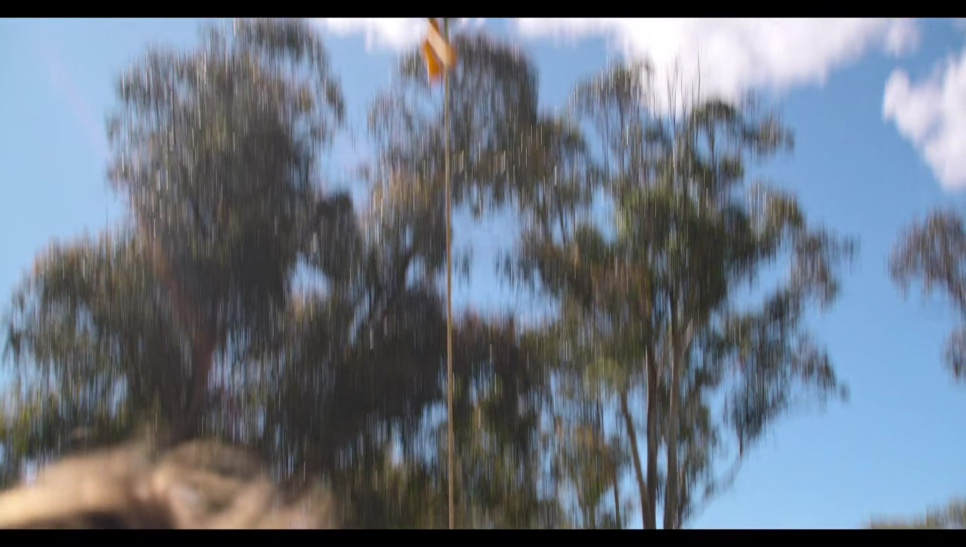 Woody Woodpecker Goes to Camp (2024) HD screenshot 10382