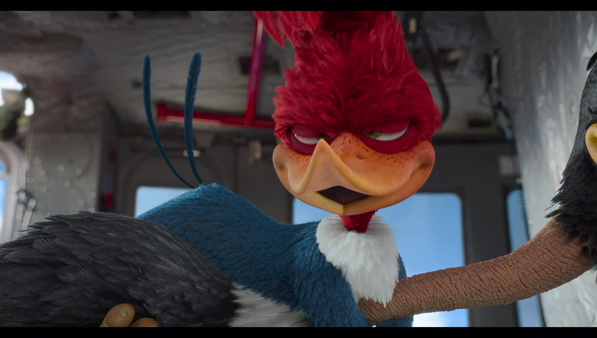 Woody Woodpecker Goes to Camp (2024) movie still 10591