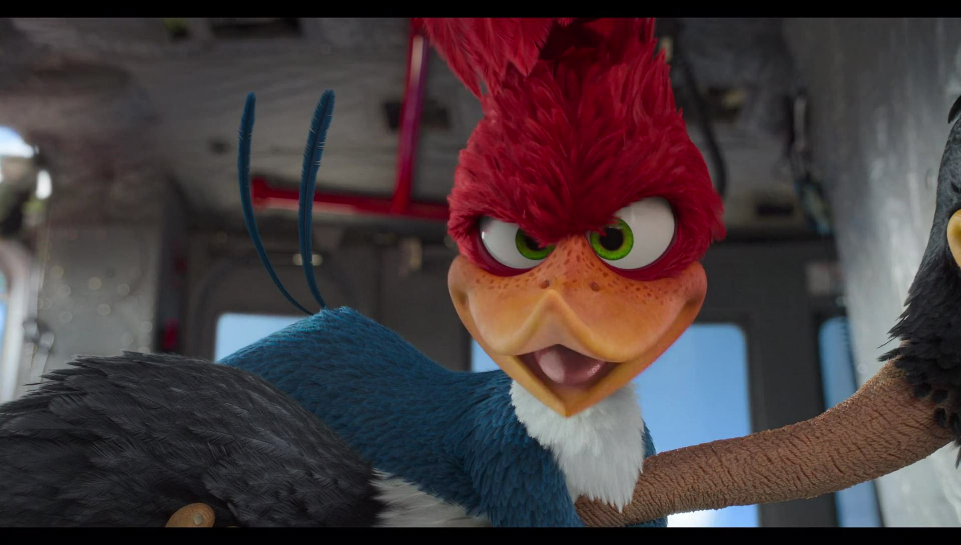 Woody Woodpecker Goes to Camp (2024) HD screenshot 10592