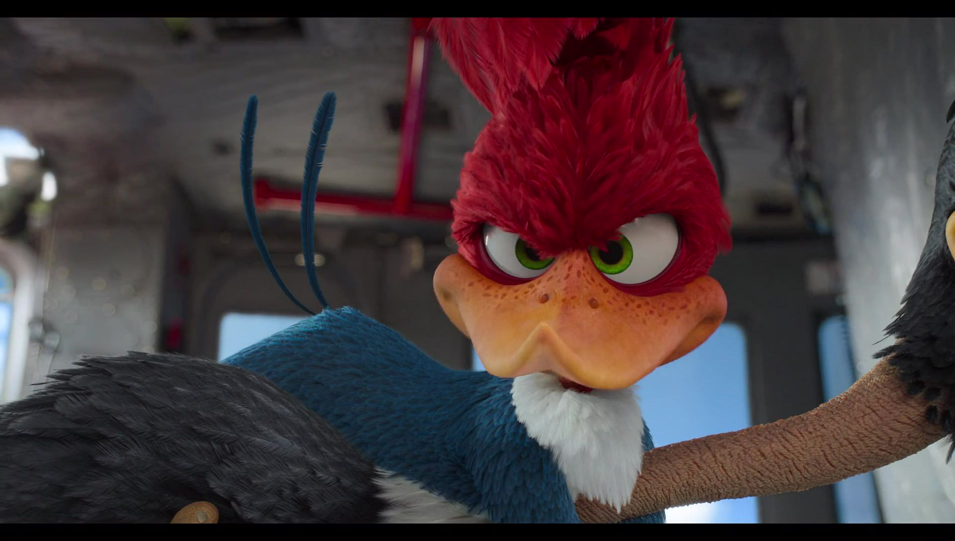 Woody Woodpecker Goes to Camp (2024) screencap 10593