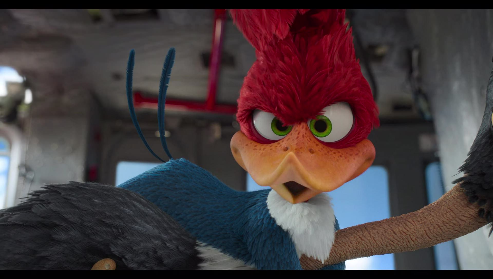 Woody Woodpecker Goes to Camp (2024) movie still 10594