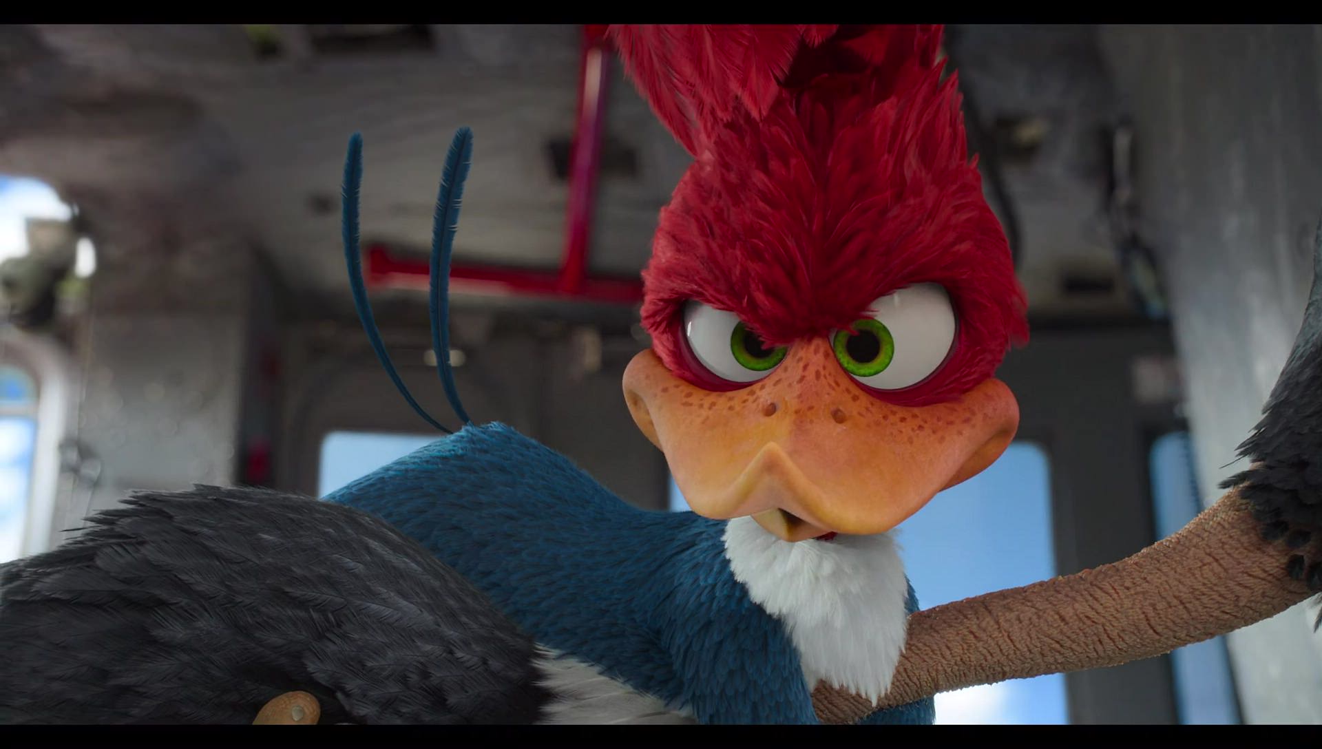 Woody Woodpecker Goes to Camp (2024) HD screenshot 10595