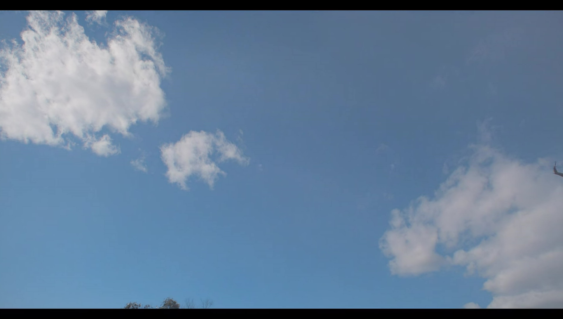 Woody Woodpecker Goes to Camp (2024) screencap 10686