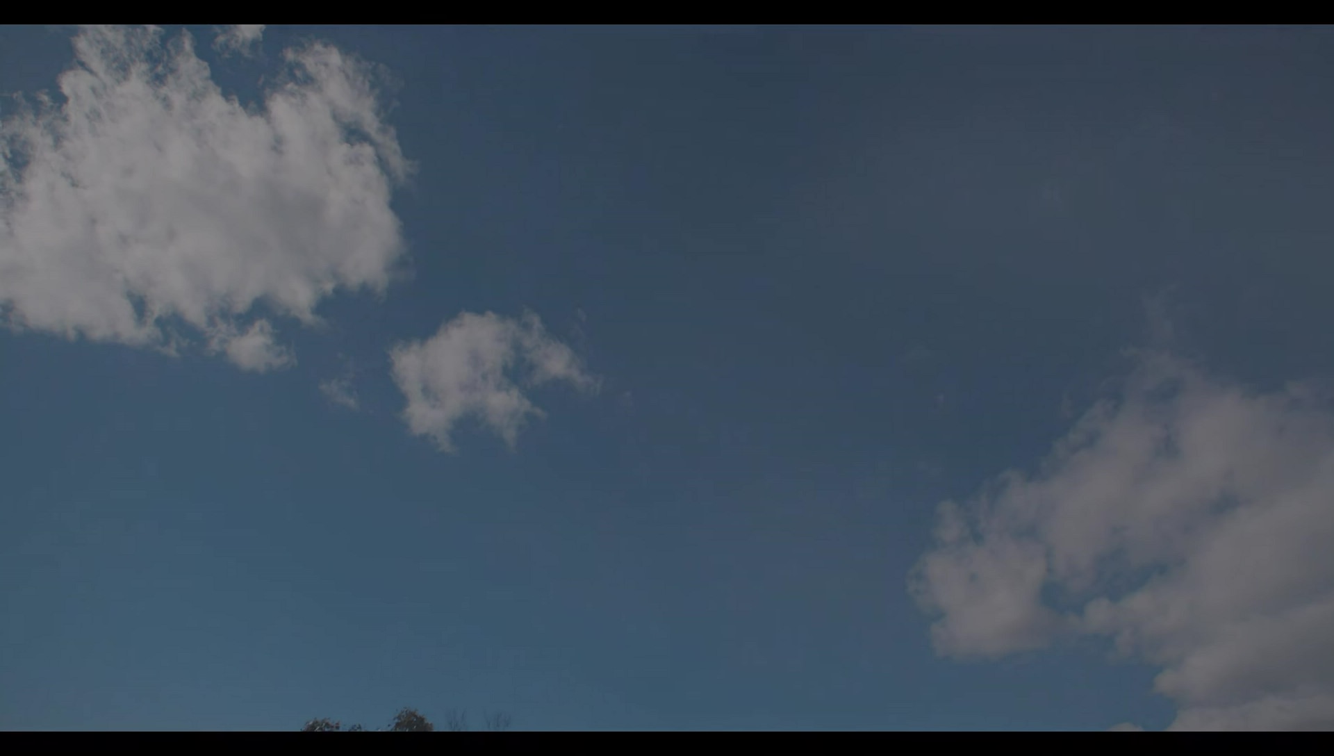 Woody Woodpecker Goes to Camp (2024) HD screenshot 10688