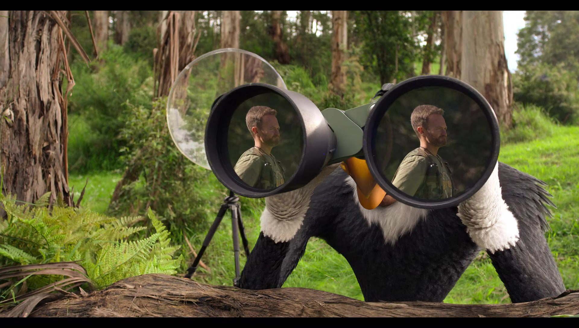 Woody Woodpecker Goes to Camp (2024) HD screenshot 1094