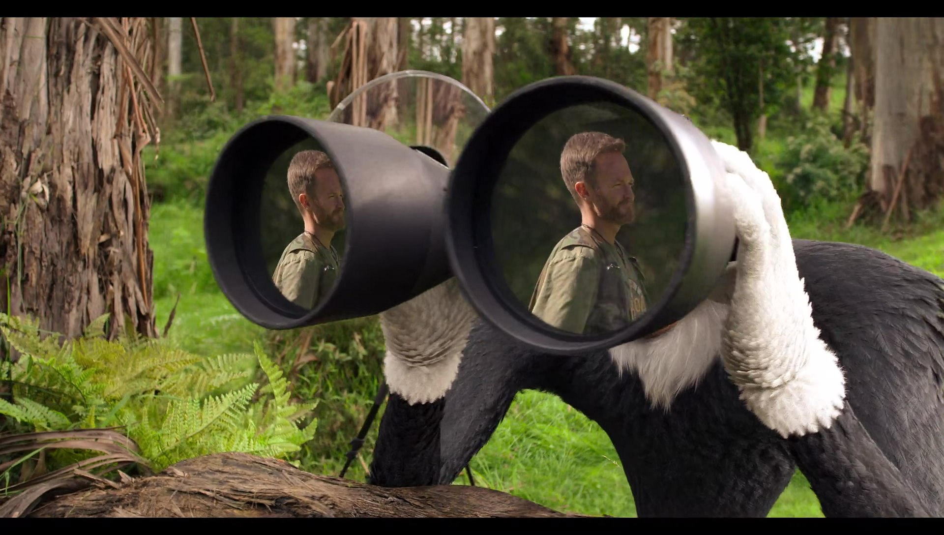 Woody Woodpecker Goes to Camp (2024) movie still 1096