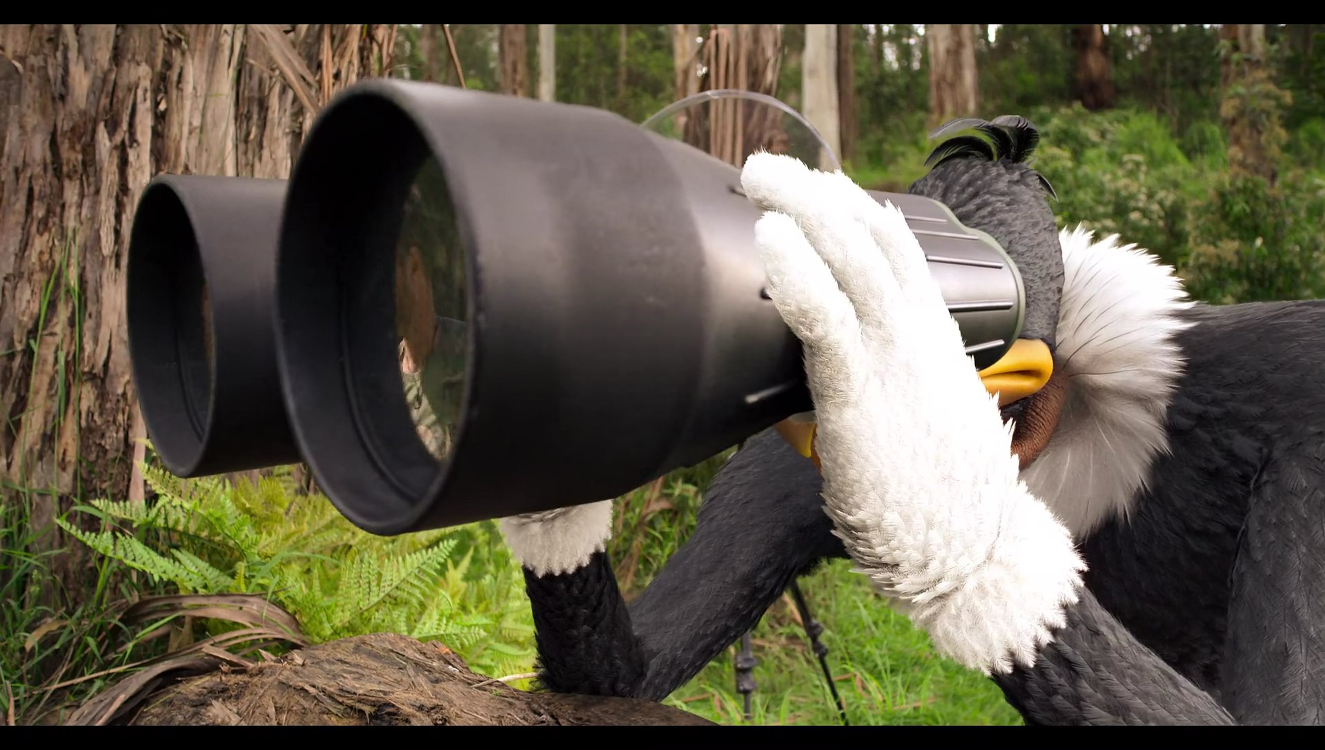 Woody Woodpecker Goes to Camp (2024) HD screenshot 1100