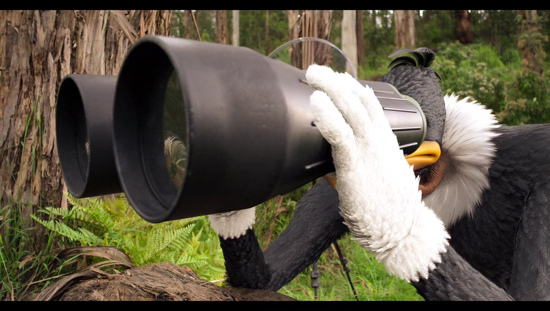 Woody Woodpecker Goes to Camp (2024) screencap 1101