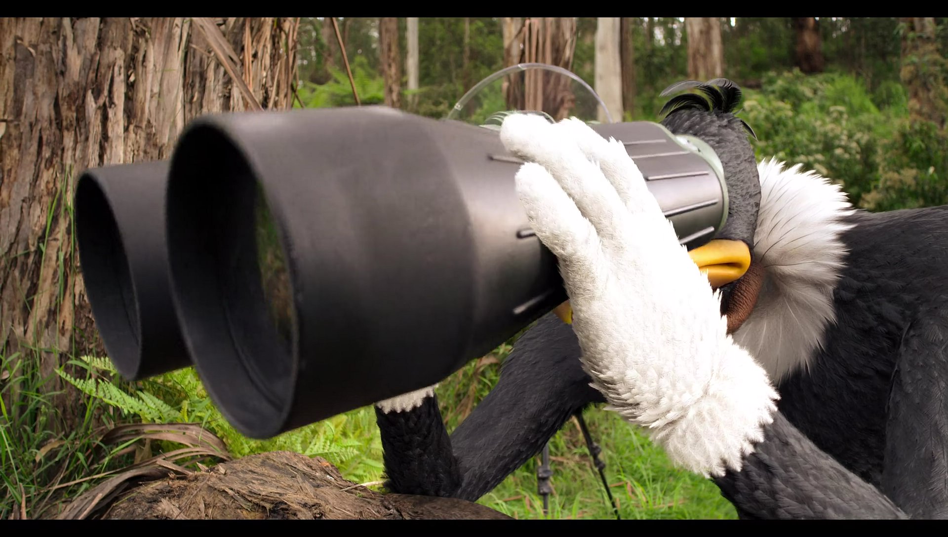 Woody Woodpecker Goes to Camp (2024) screencap 1104