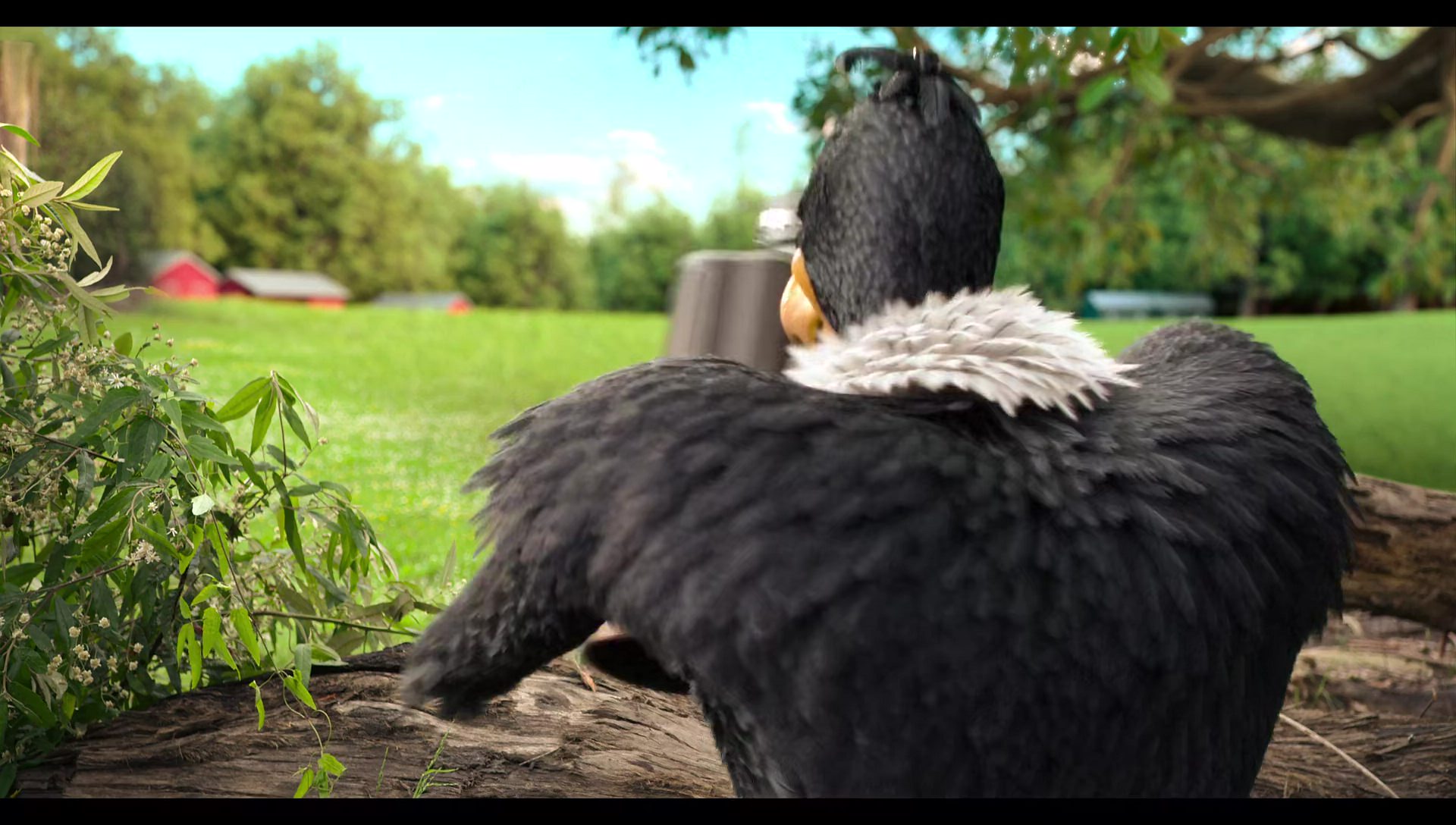 Woody Woodpecker Goes to Camp (2024) HD screenshot 1118