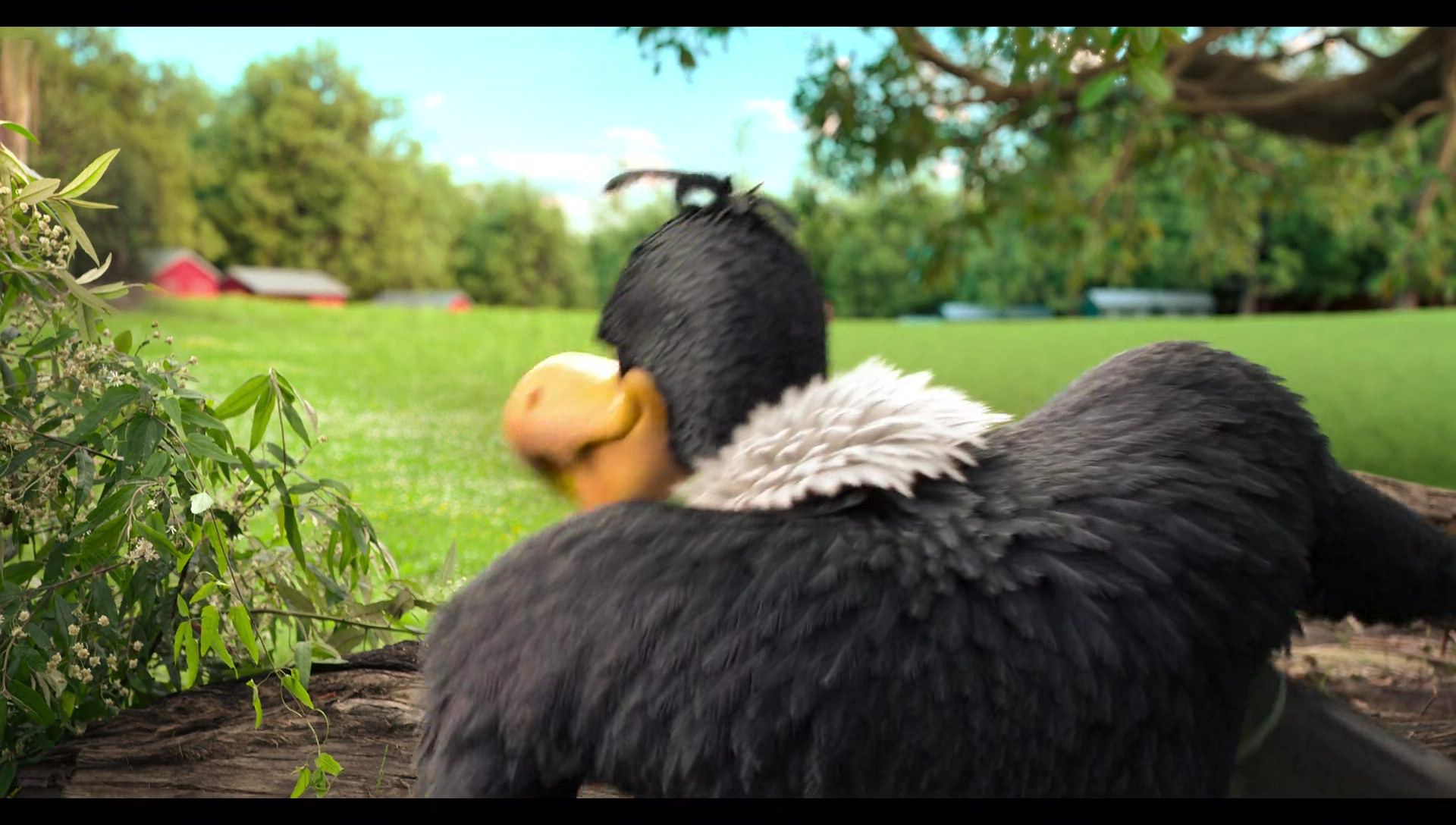 Woody Woodpecker Goes to Camp (2024) movie still 1120