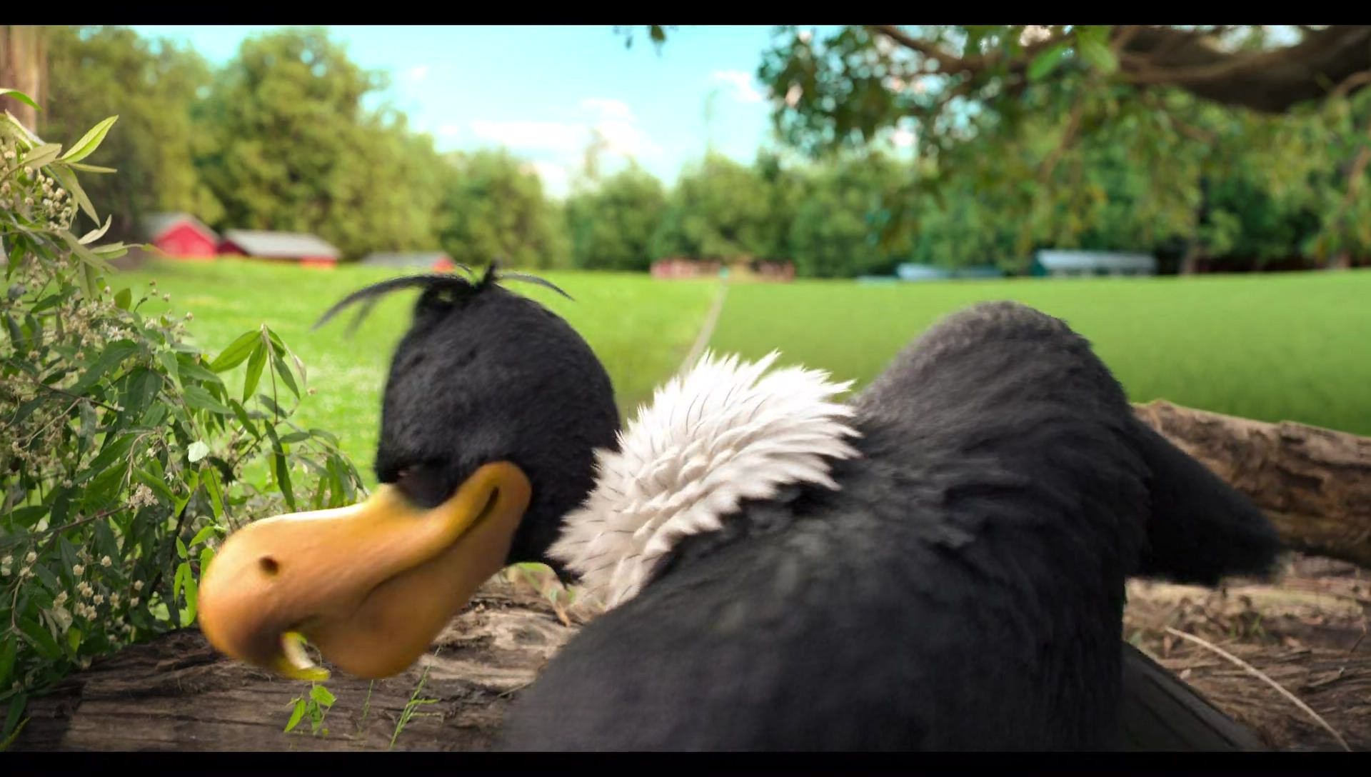 Woody Woodpecker Goes to Camp (2024) HD screenshot 1121