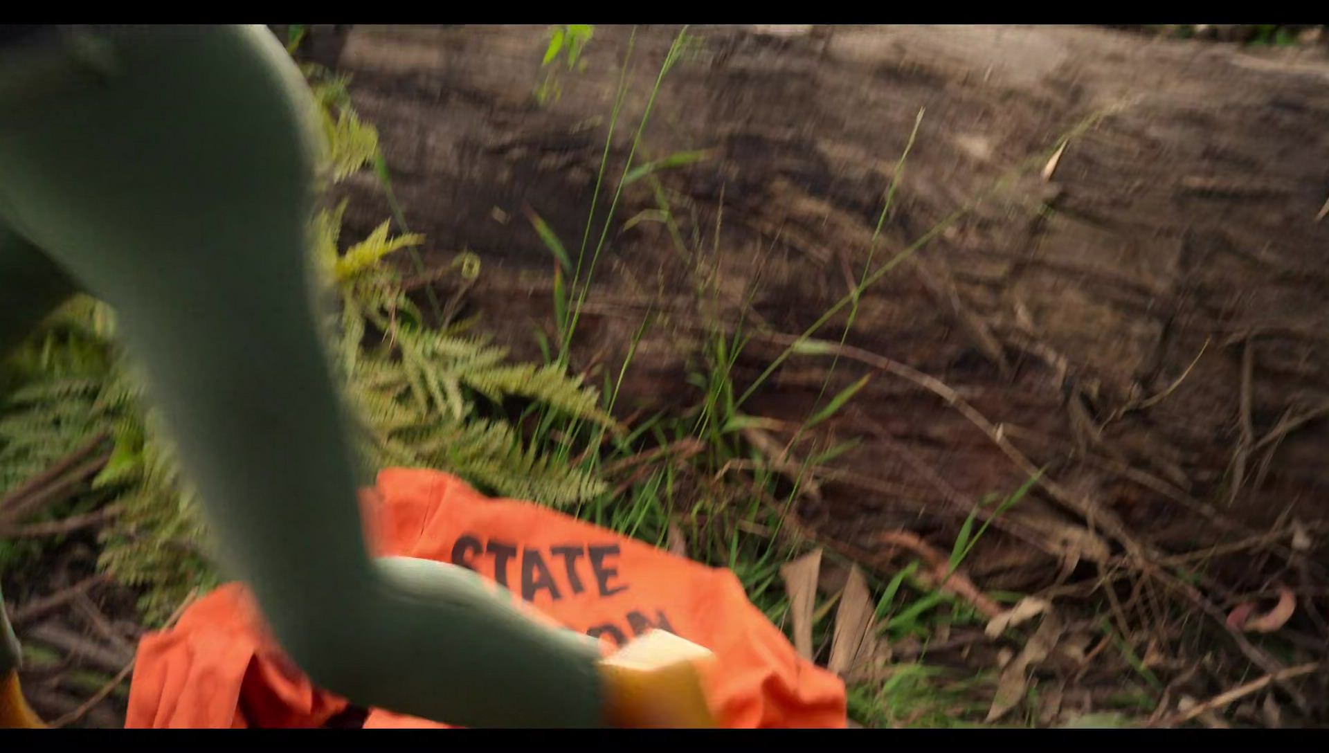 Woody Woodpecker Goes to Camp (2024) HD screenshot 1124